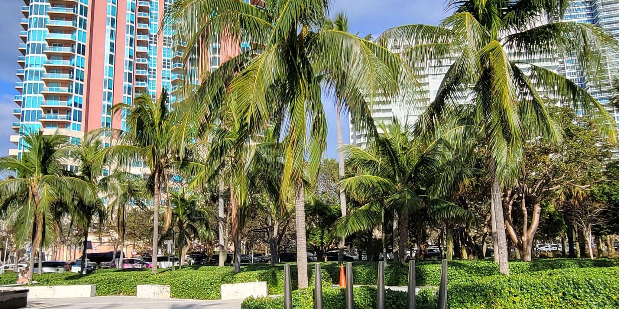Miami City Private Tour - Image 6