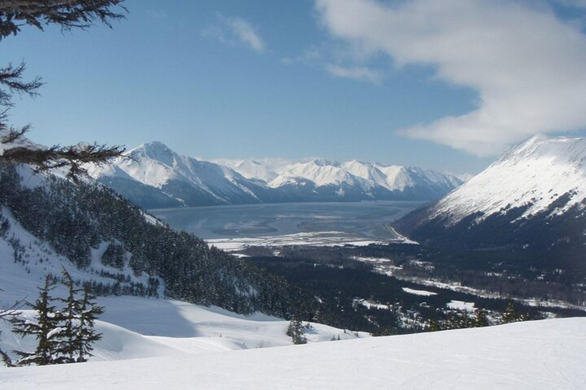 Anchorage Northern Lights Tour - Image 6
