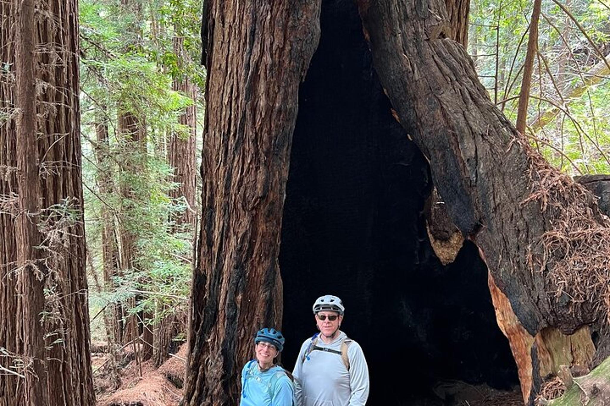 Big Sur eBike Tour on Old Coast Road - Image 6