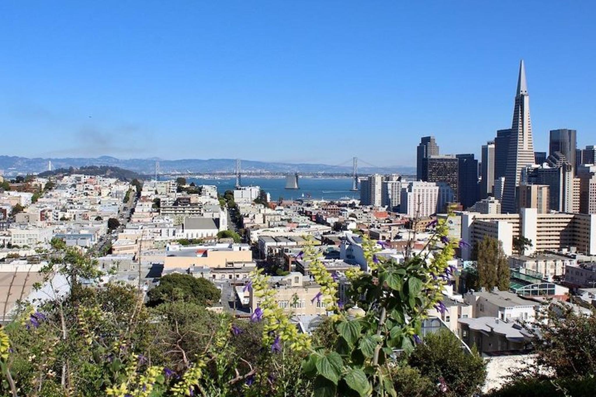 San Francisco Urban Hike: Coit Tower and North Beach - Image 3