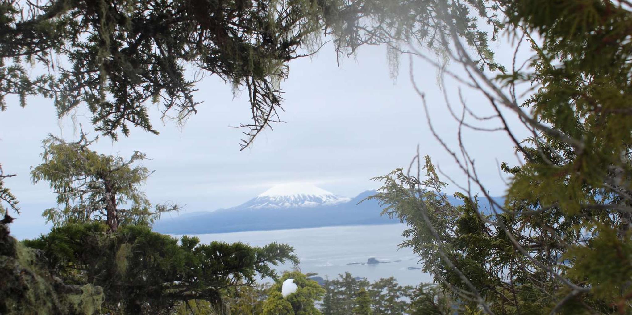 Sitka Alaskan Wilderness Trail Hike 3 hr - Image 3