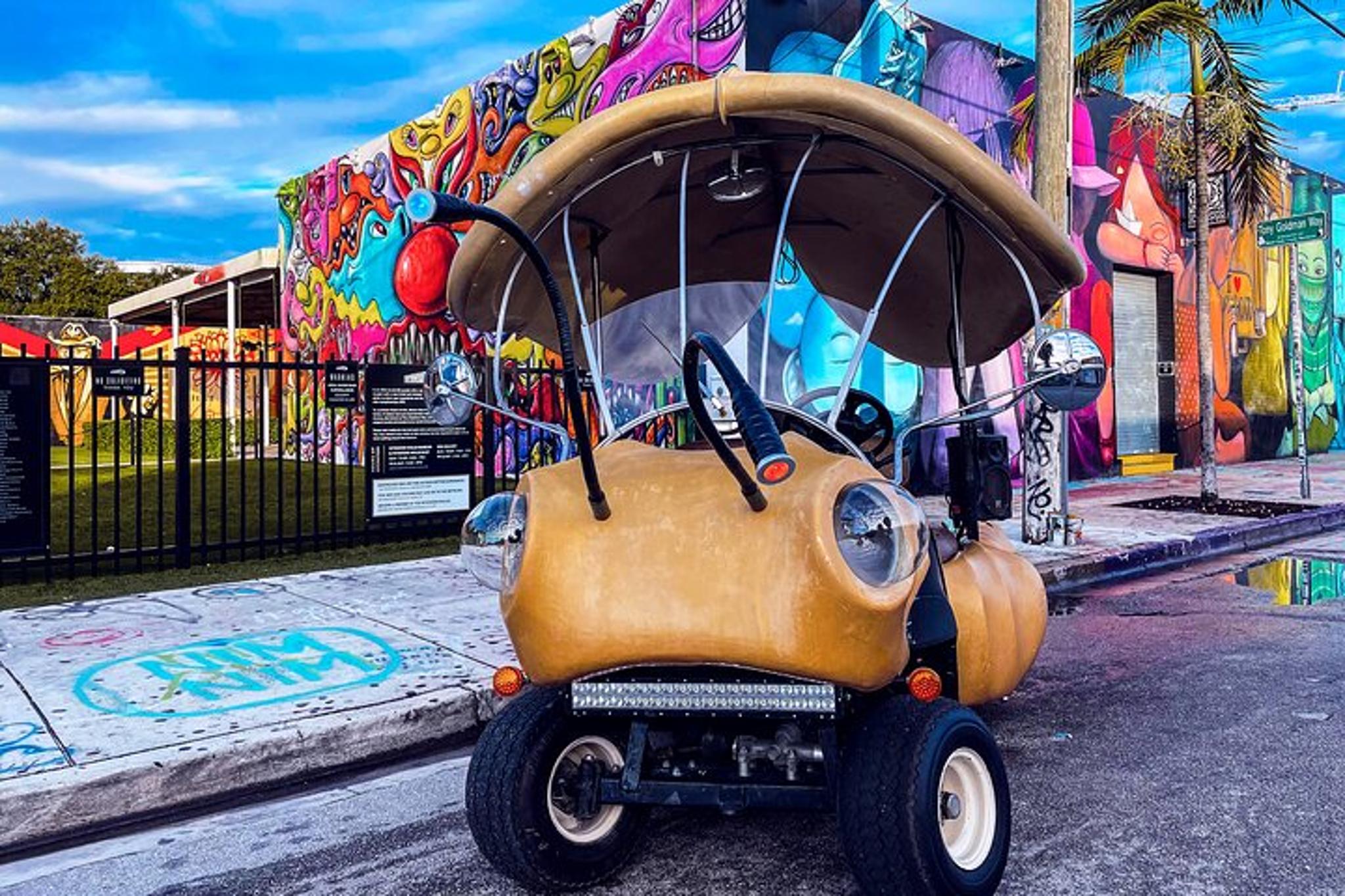 Miami Art Car Tour in Wynwood 1 hr - Image 3