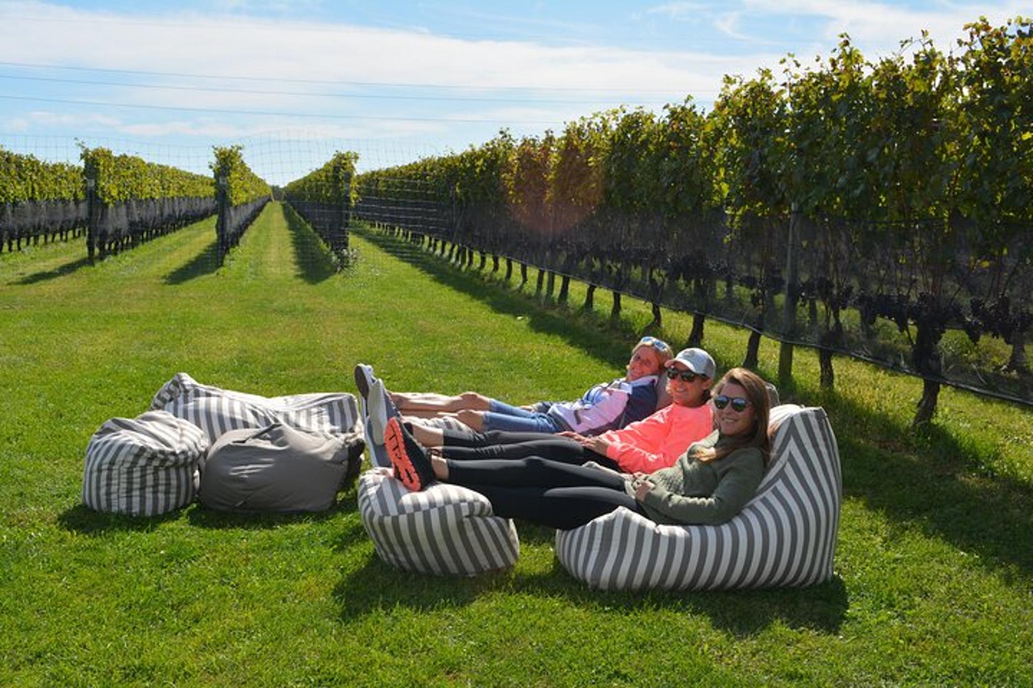 Mattituck Farm and Wine Country Bike Tour - Image 3