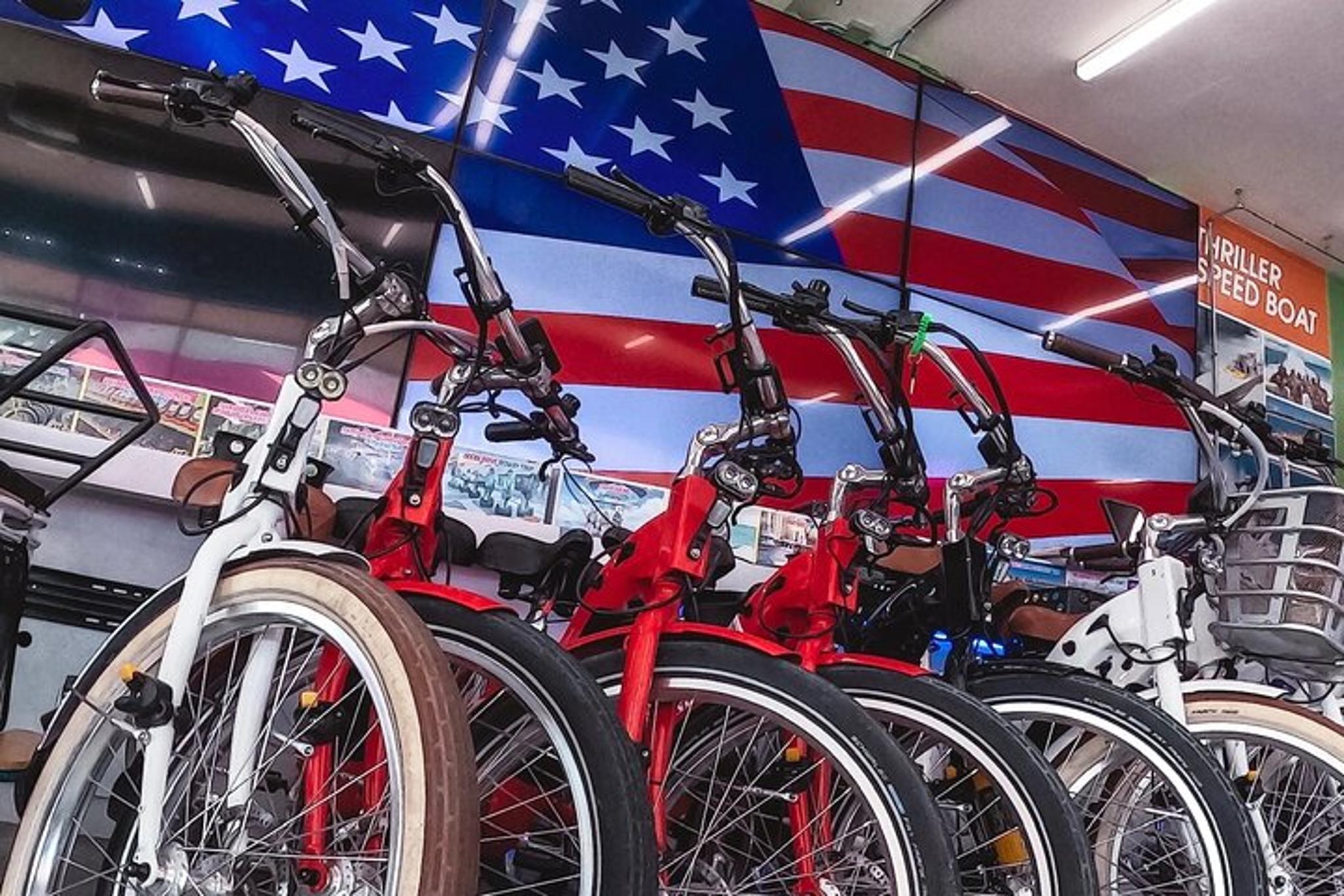 Miami Beach Electric Tandem Bike Rental - Image 6