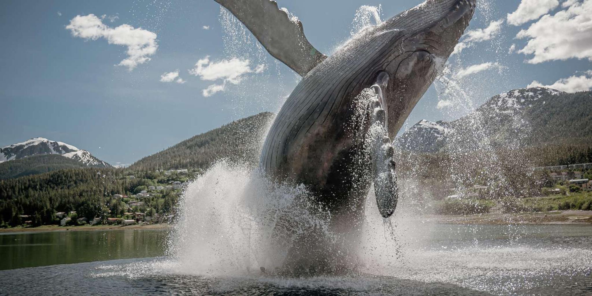Juneau Craft Beer and Brewery Tour - Image 4