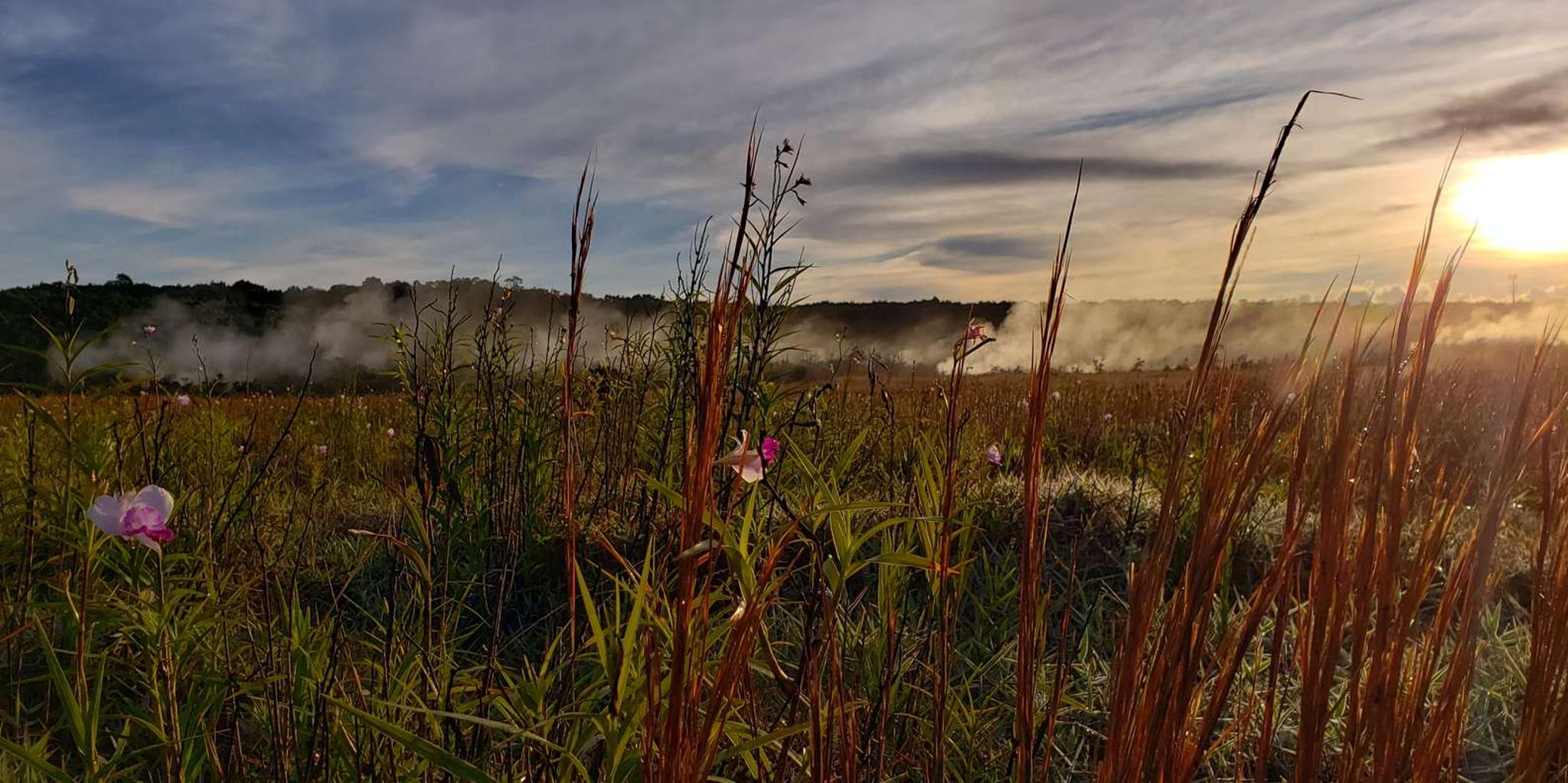 Hawaii Volcanoes National Park Private Tour - Image 5