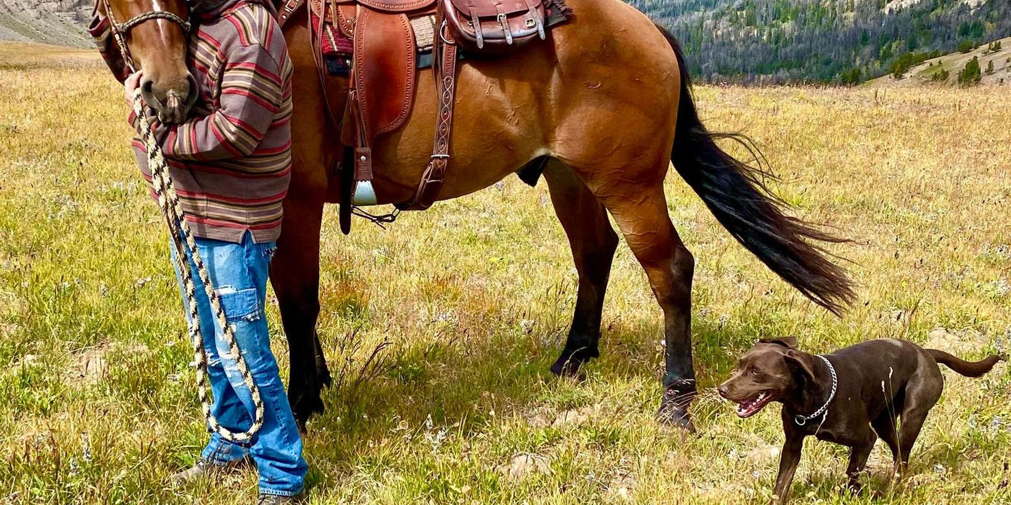 Jackson Hole Horseback Riding with Grand Teton Views - Image 3