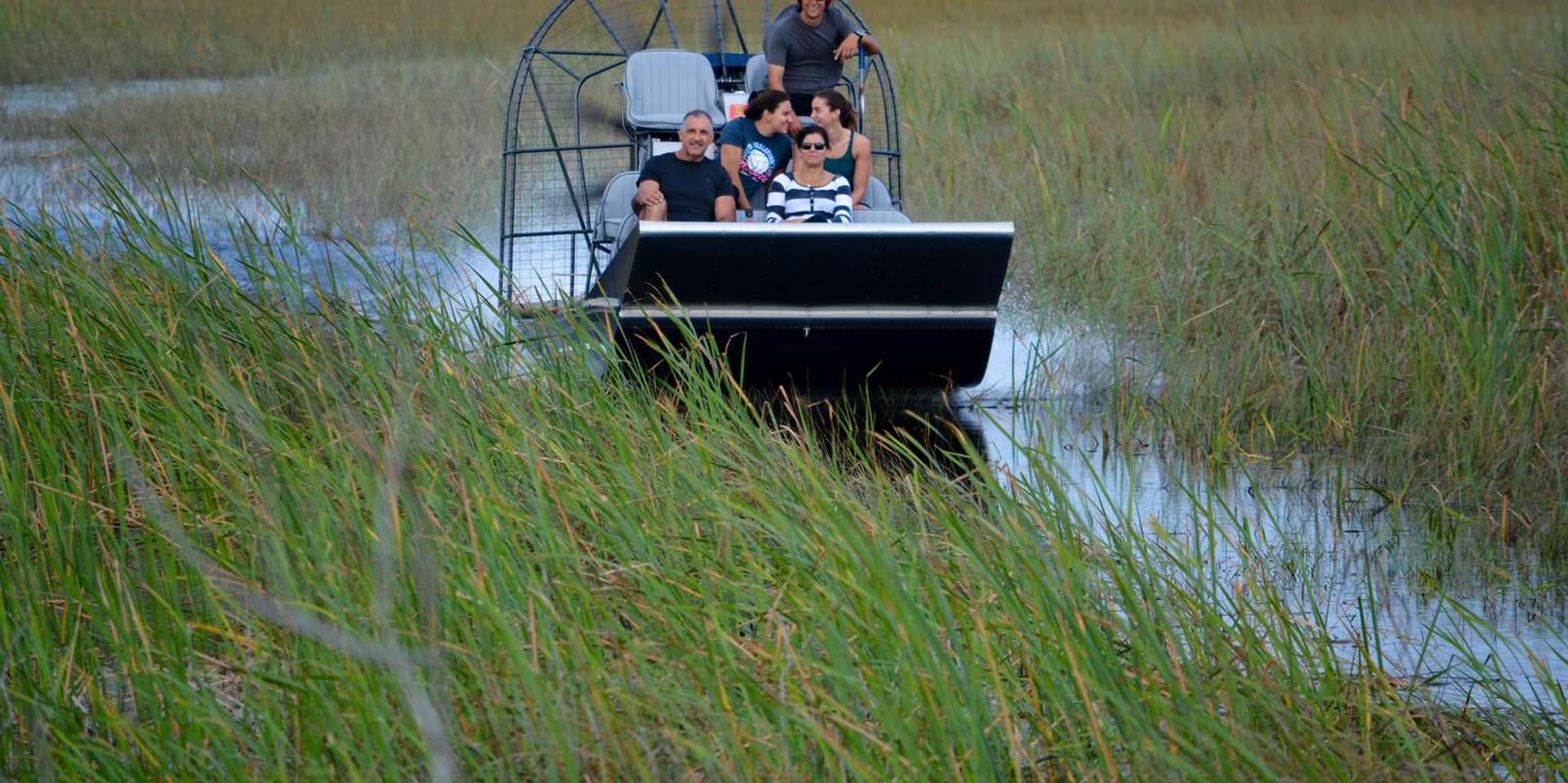 Miami Everglades Airboat Tour - Image 4