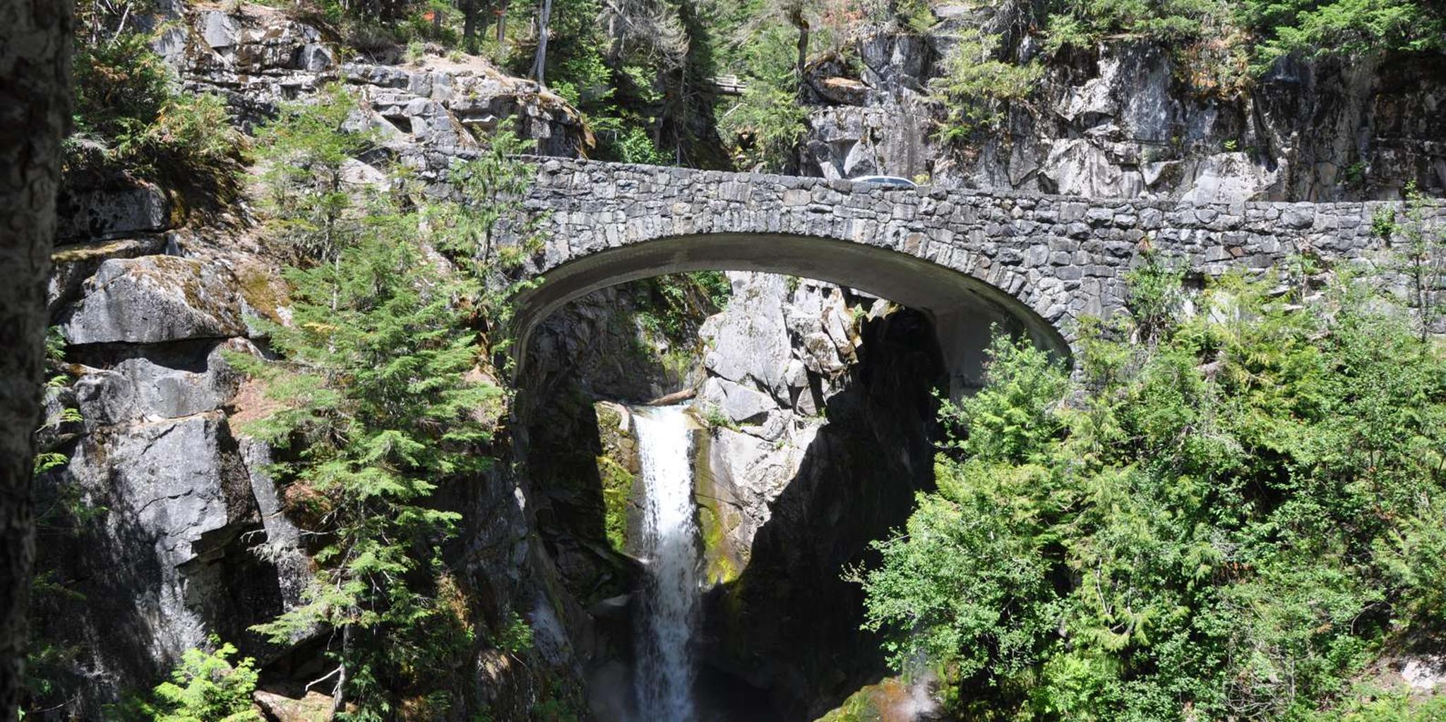 Seattle Mount Rainier Customized Tour 9 hr - Image 2