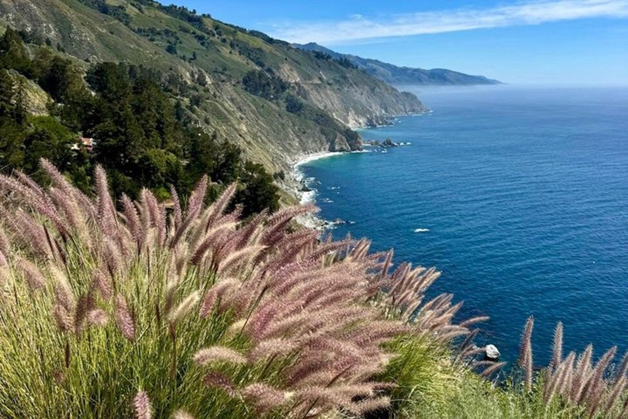 Big Sur McWay Falls Private Tour 4 hr - Image 3
