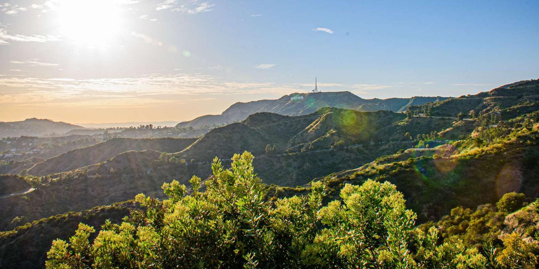 Los Angeles Film Locations Tour - Image 6