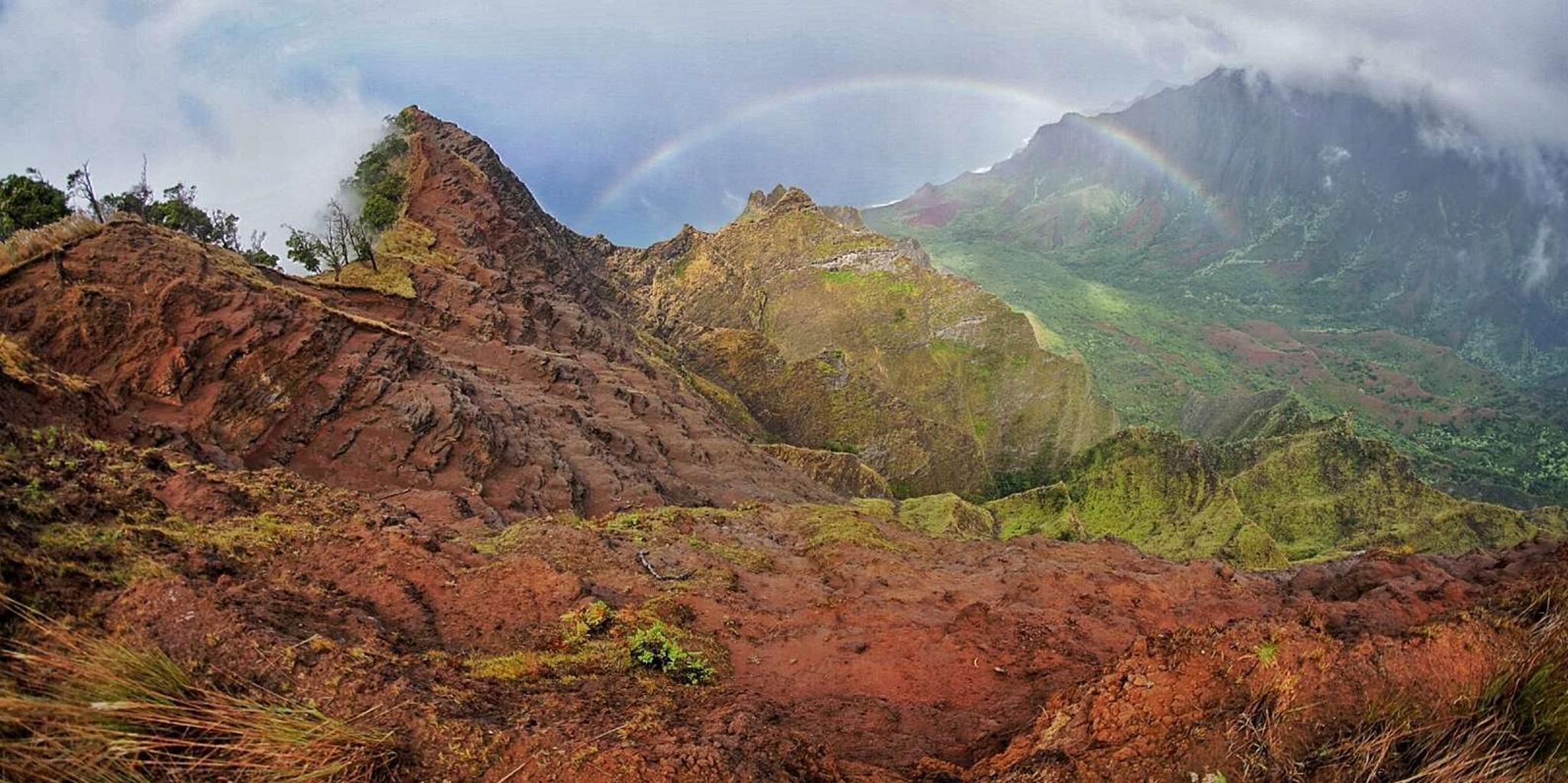 Kauai Private Tour - Image 4