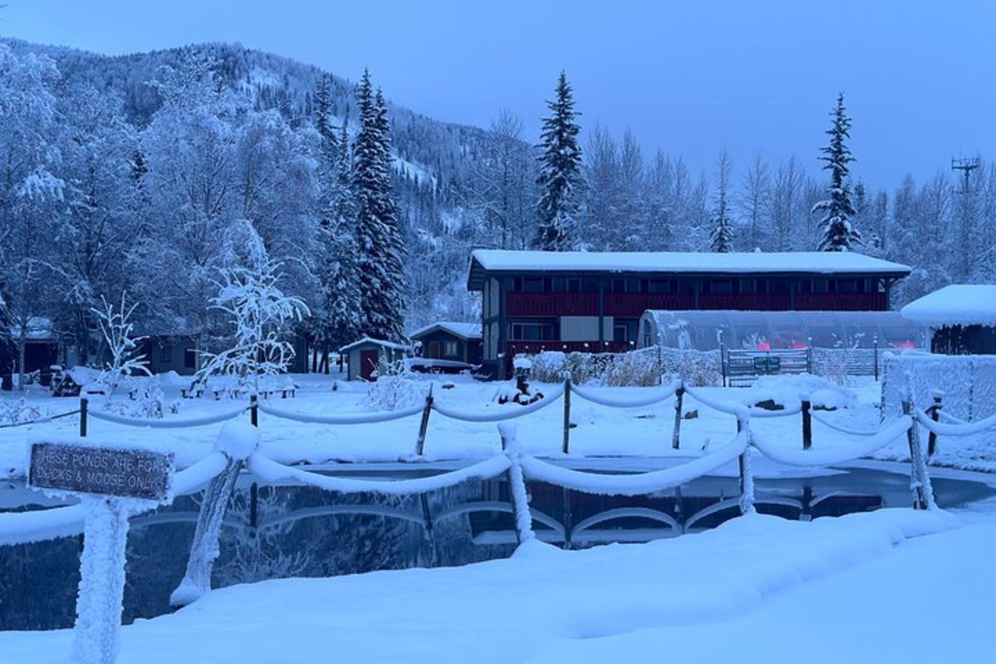 Fairbanks Chena Hot Springs Day Tour - Image 4