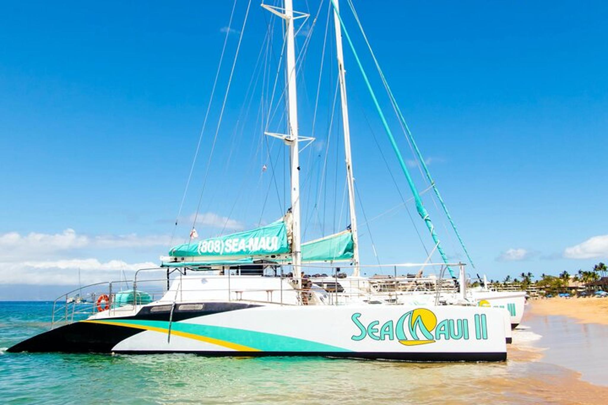 Ka'anapali Beach Snorkel Tour 2.5 Hr - Image 6