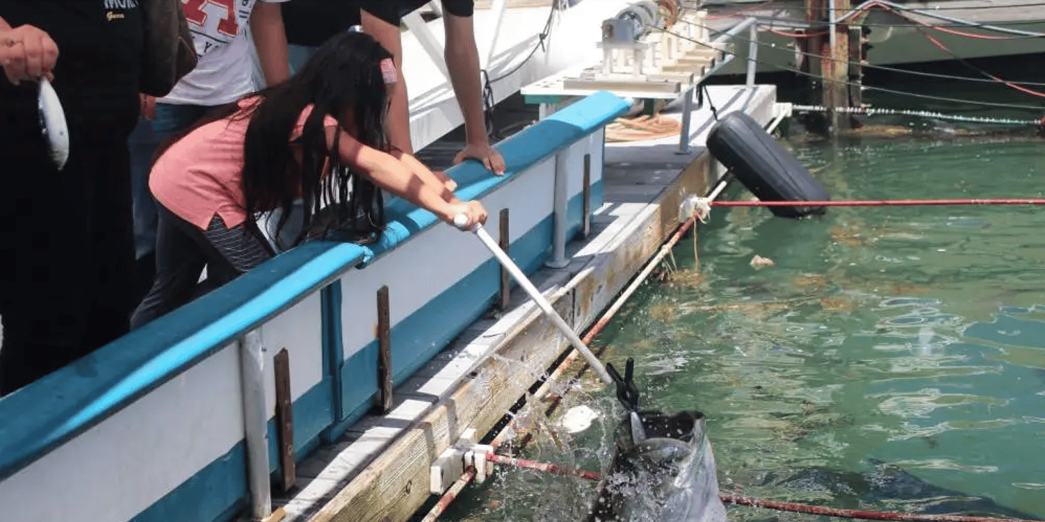 Miami Fish Feeding Experience - Image 3