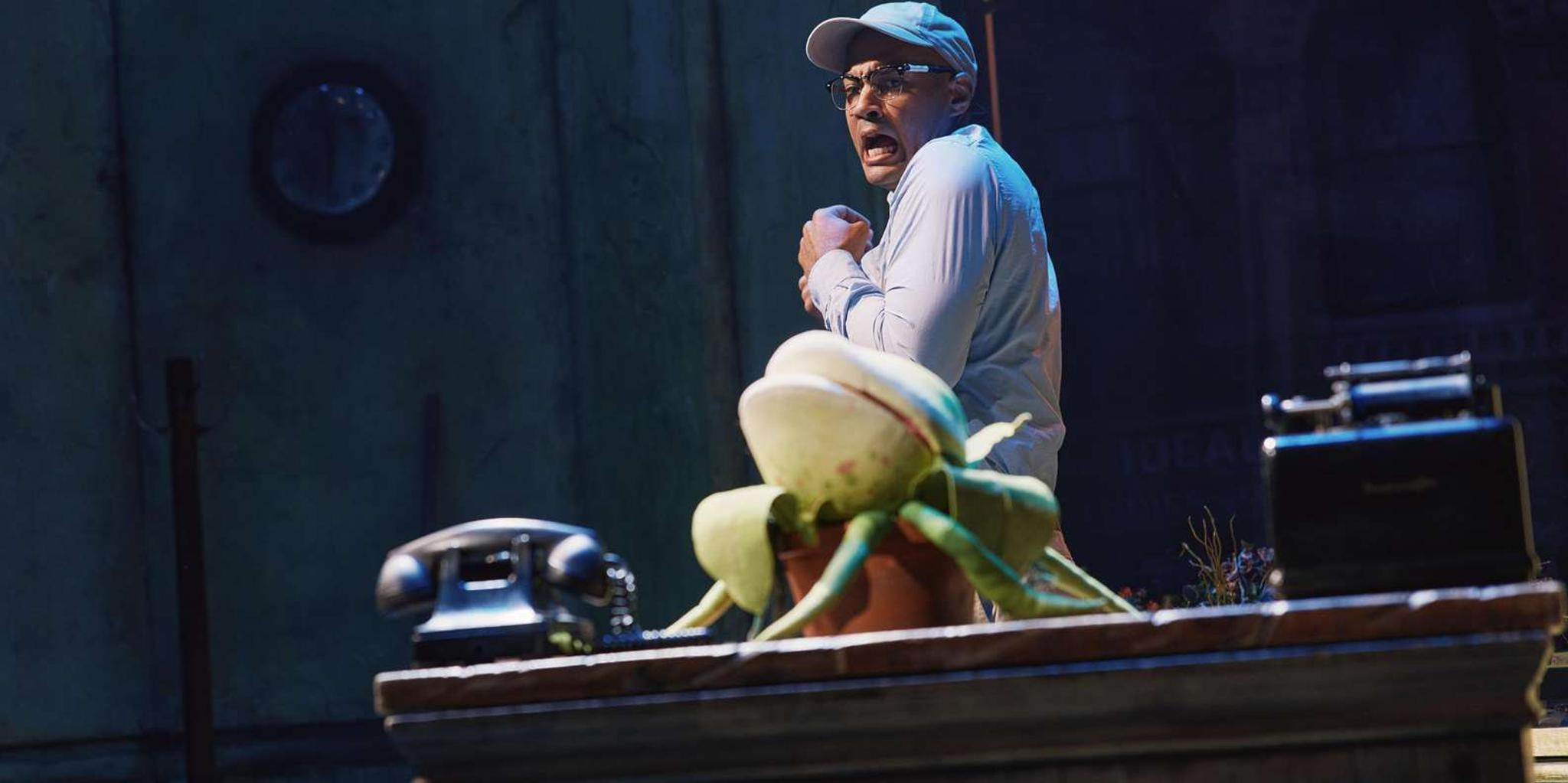 New York City Little Shop of Horrors Off-Broadway Show - Image 5