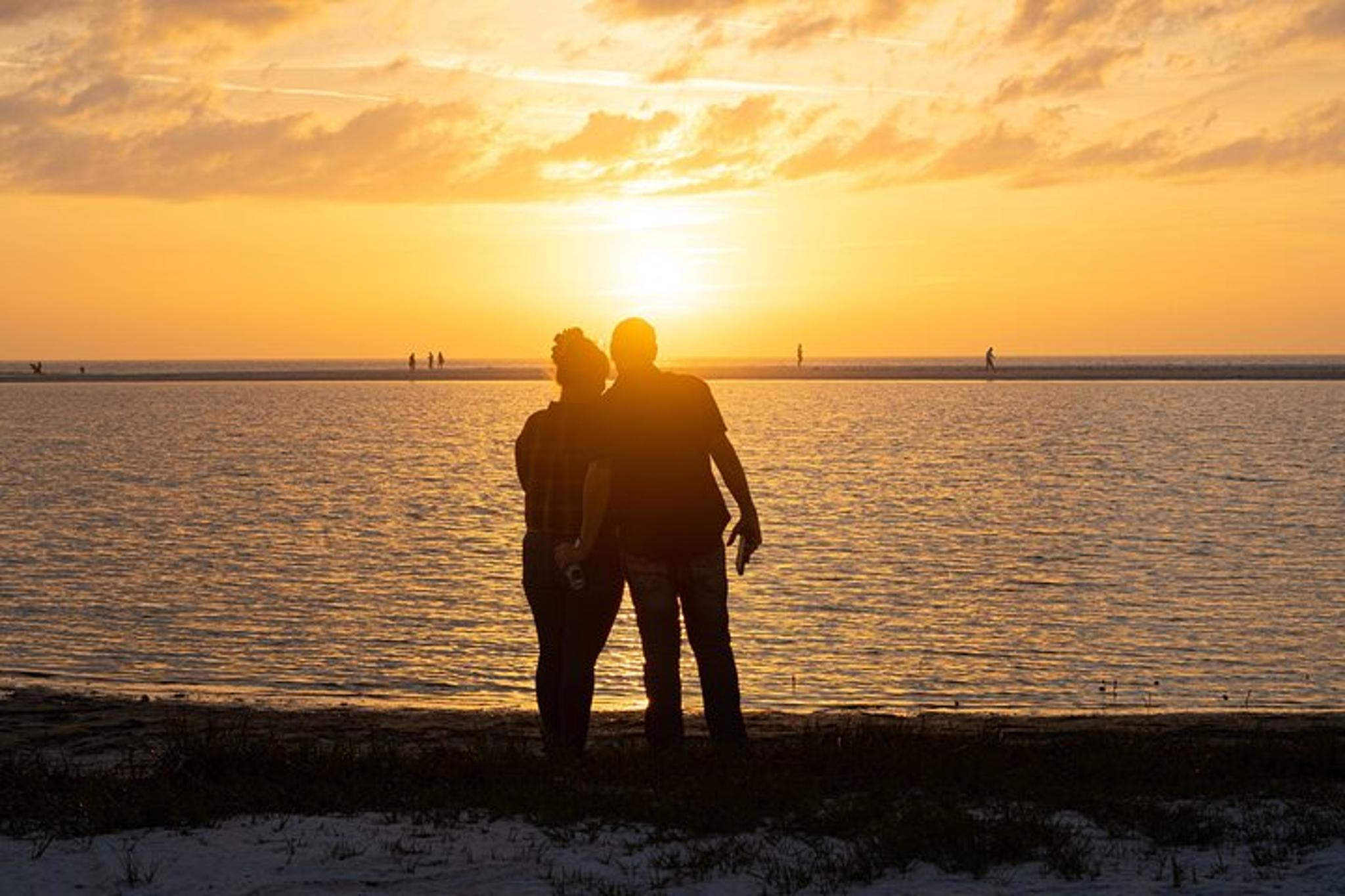 St. Pete Dolphin Watching and Island Sunset Cruise - Image 4