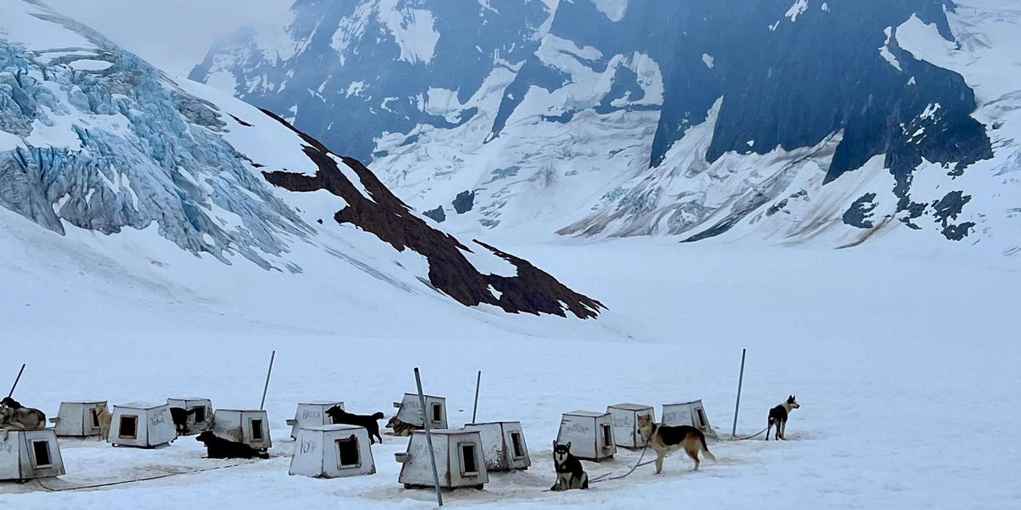 Juneau Helicopter Dogsledding on Herbert Glacier - Image 3