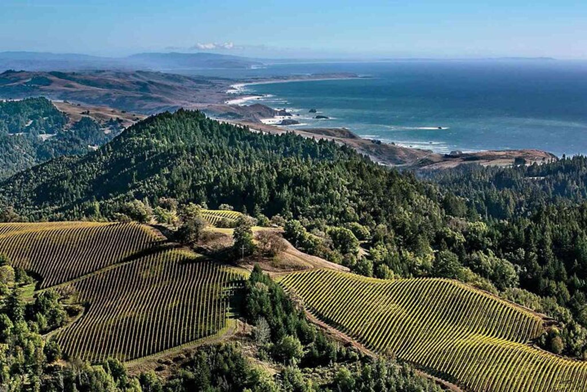Sonoma Self-Guided Tasting Tour - Image 6
