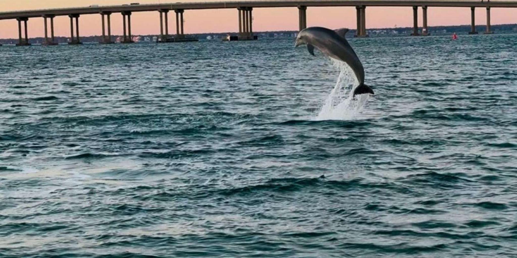 Destin Boat Ride in Choctawhatchee Bay
