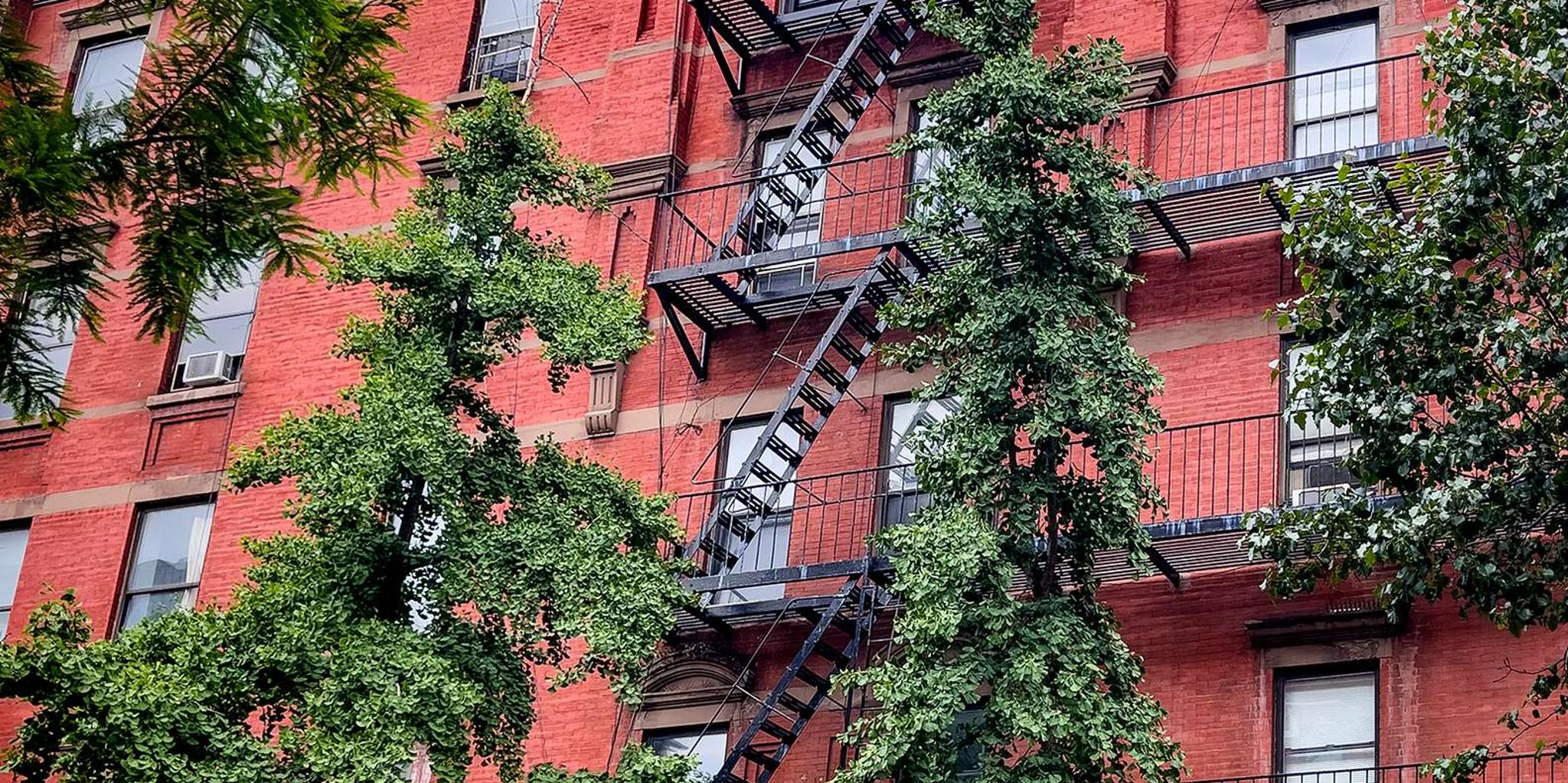 New York City Harlem & Bronx Yankees Baseball Tour - Image 6