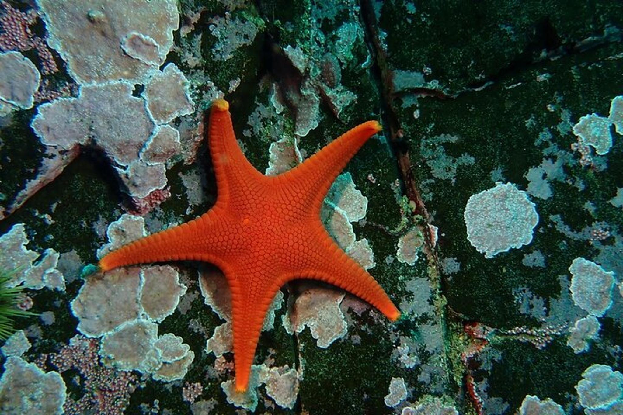 Sitka Aquarium Behind the Scenes Tour - Image 5