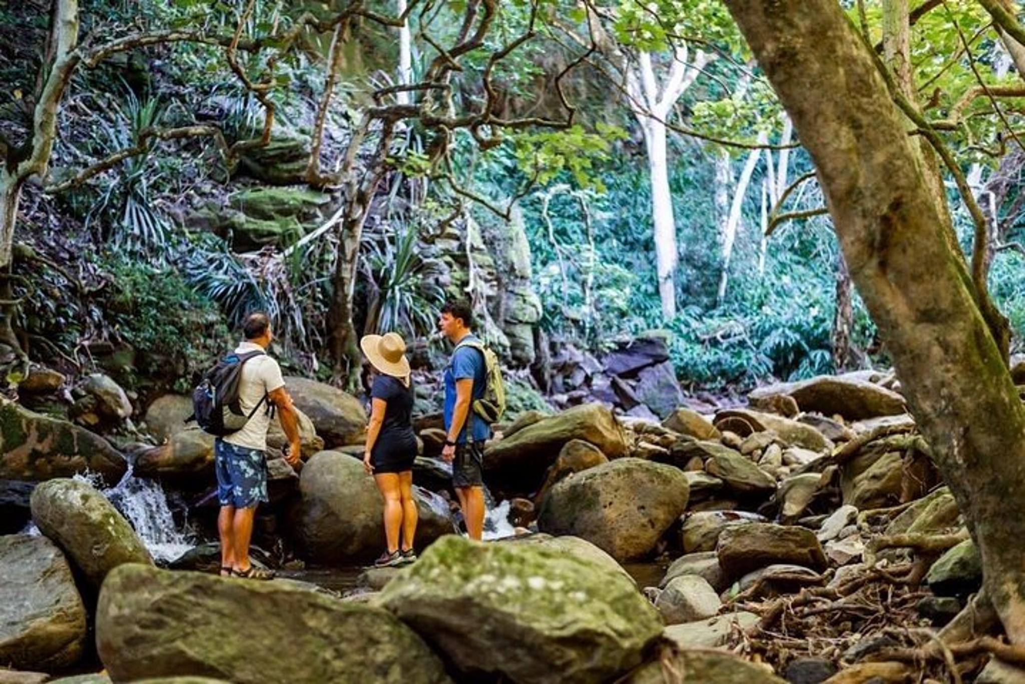 Maui Adventure Tour with Private Guide - Image 3