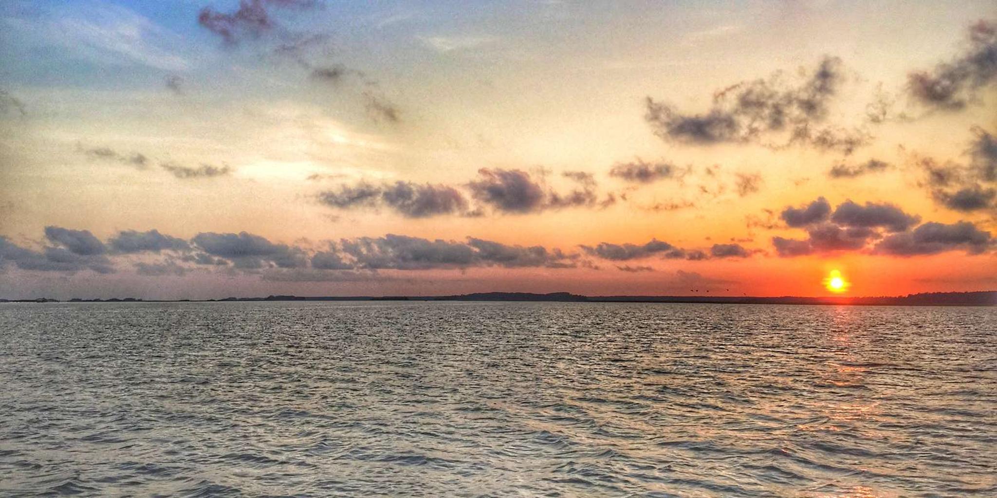 Hilton Head Dolphin Tour with Sunset & Fireworks - Image 6
