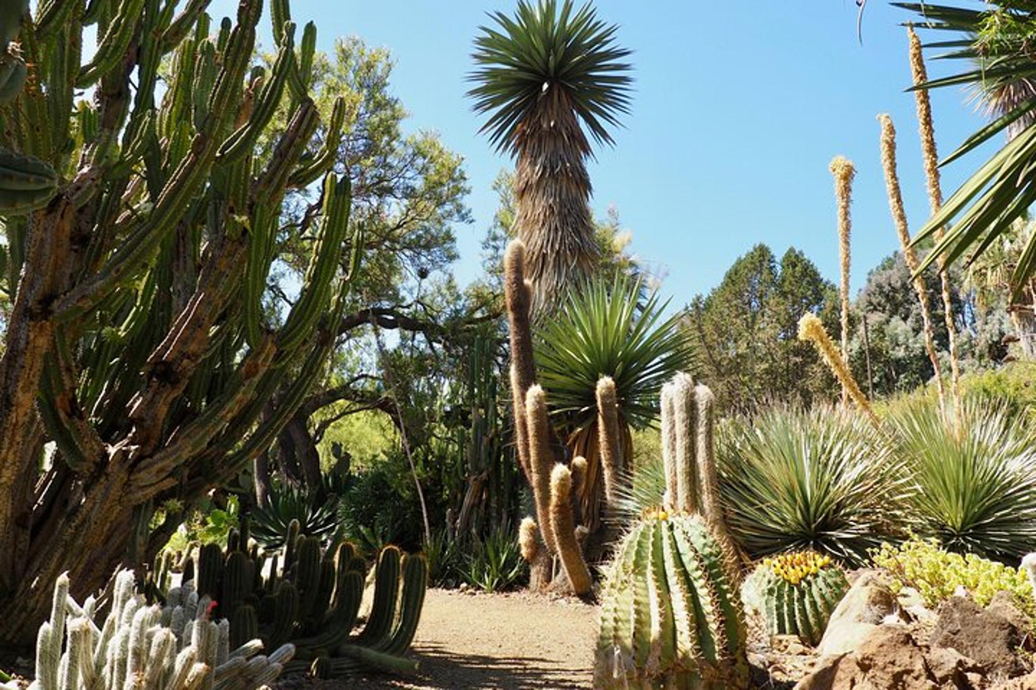 Walnut Creek Botanical Garden Admission - Image 3