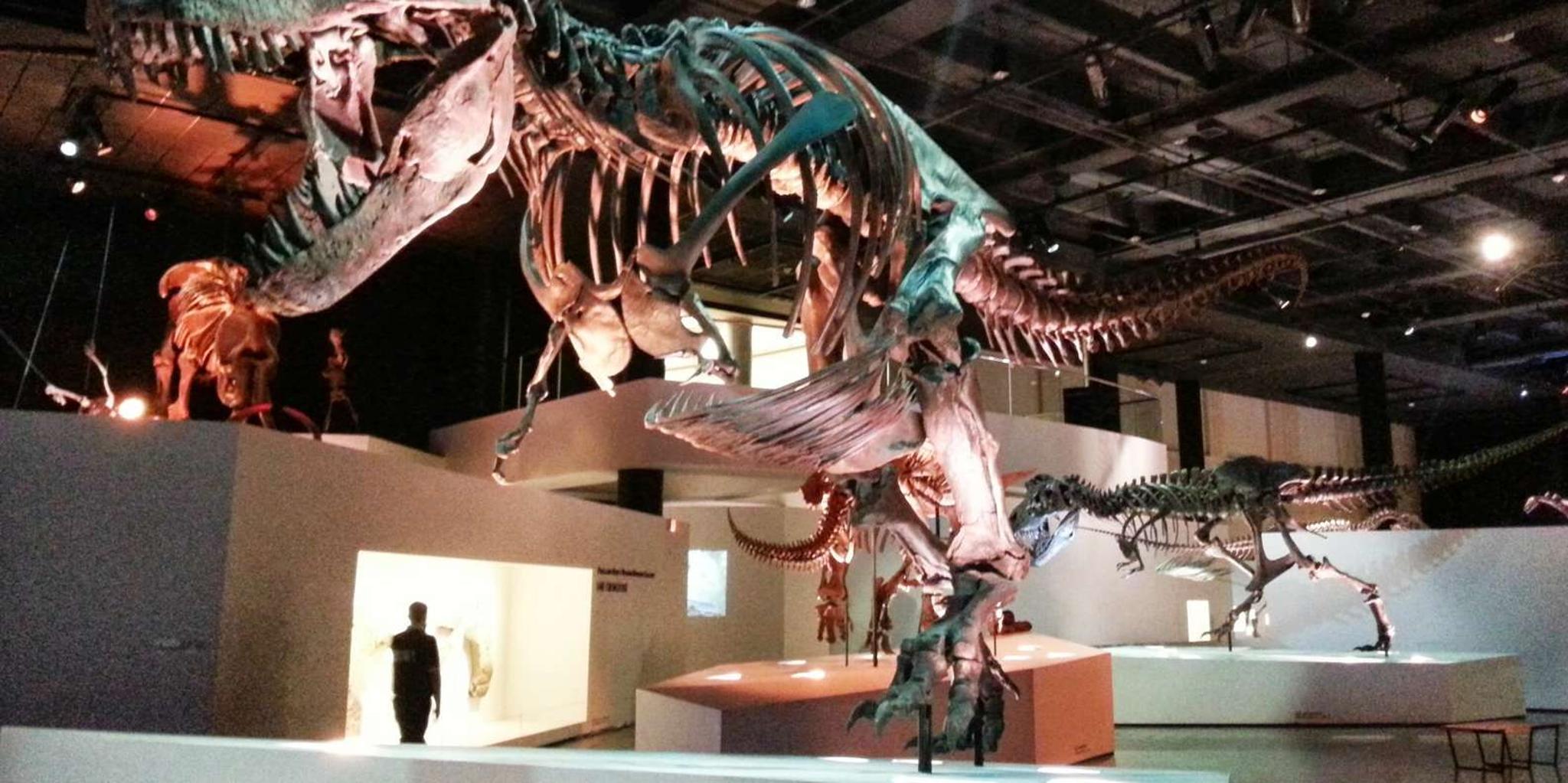 Houston CityPASS Attractions Tour - Image 5