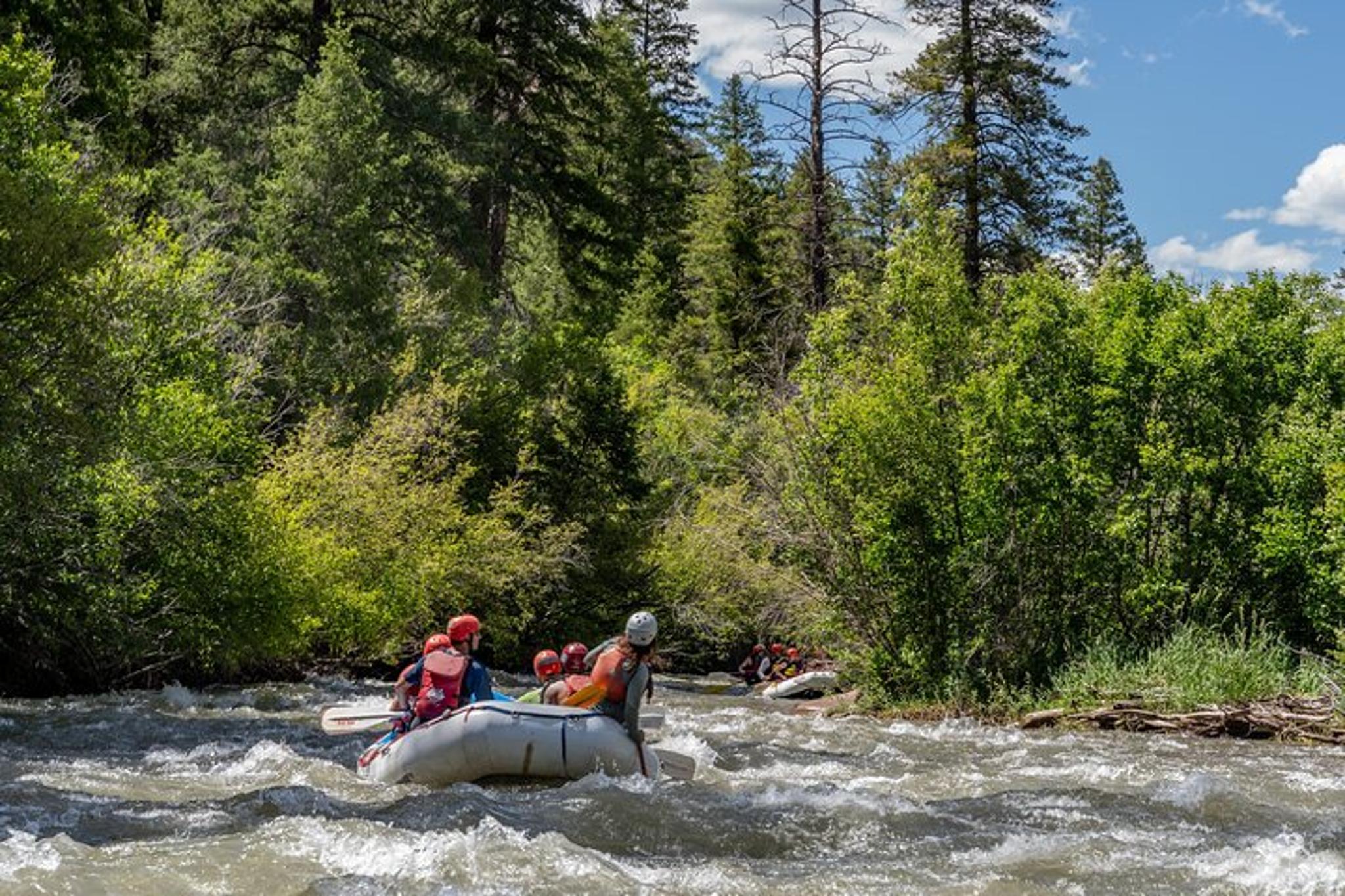 Telluride Rafting Trip San Miguel River 2.5 hr - Image 3