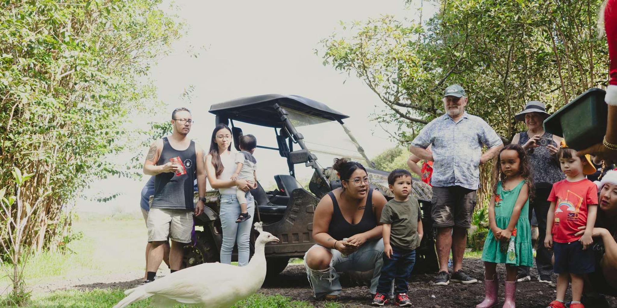 Pahoa Ranch Tour with Animal Interactions - Image 4