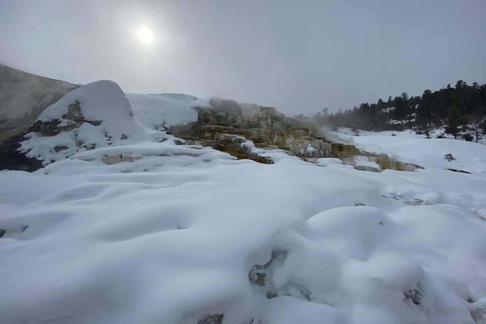 North Yellowstone National Park Winter Excursion - Image 4