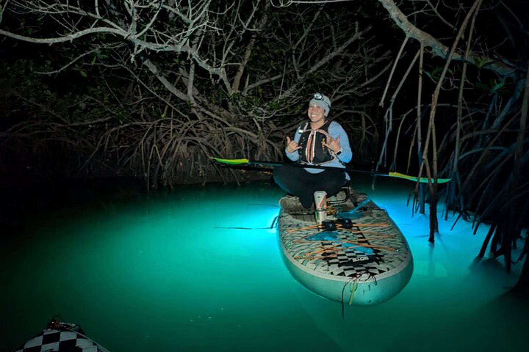 Canaveral National Seashore Wildlife Excursion - Image 3