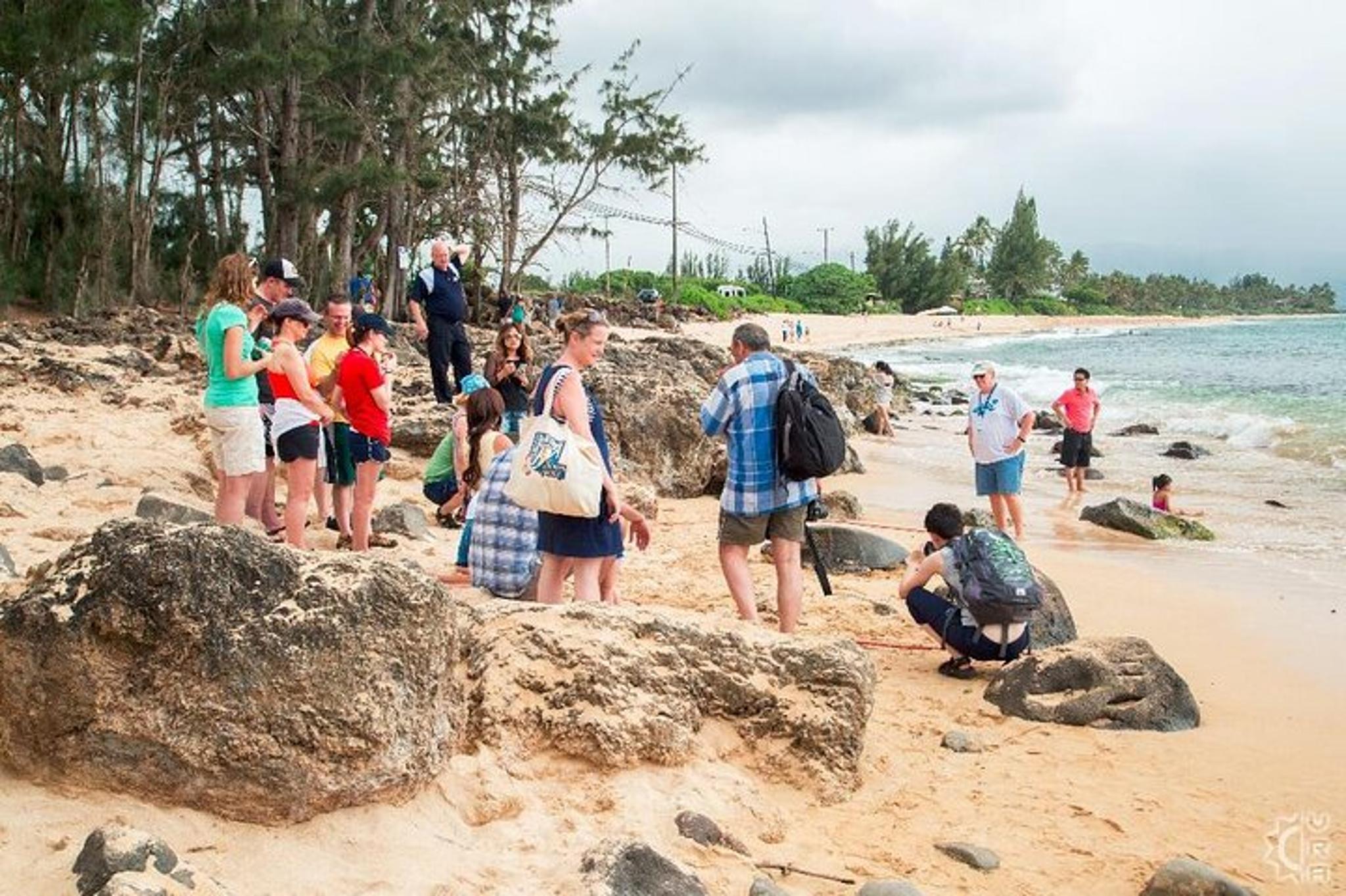Oahu Circle Island Tour - Image 4