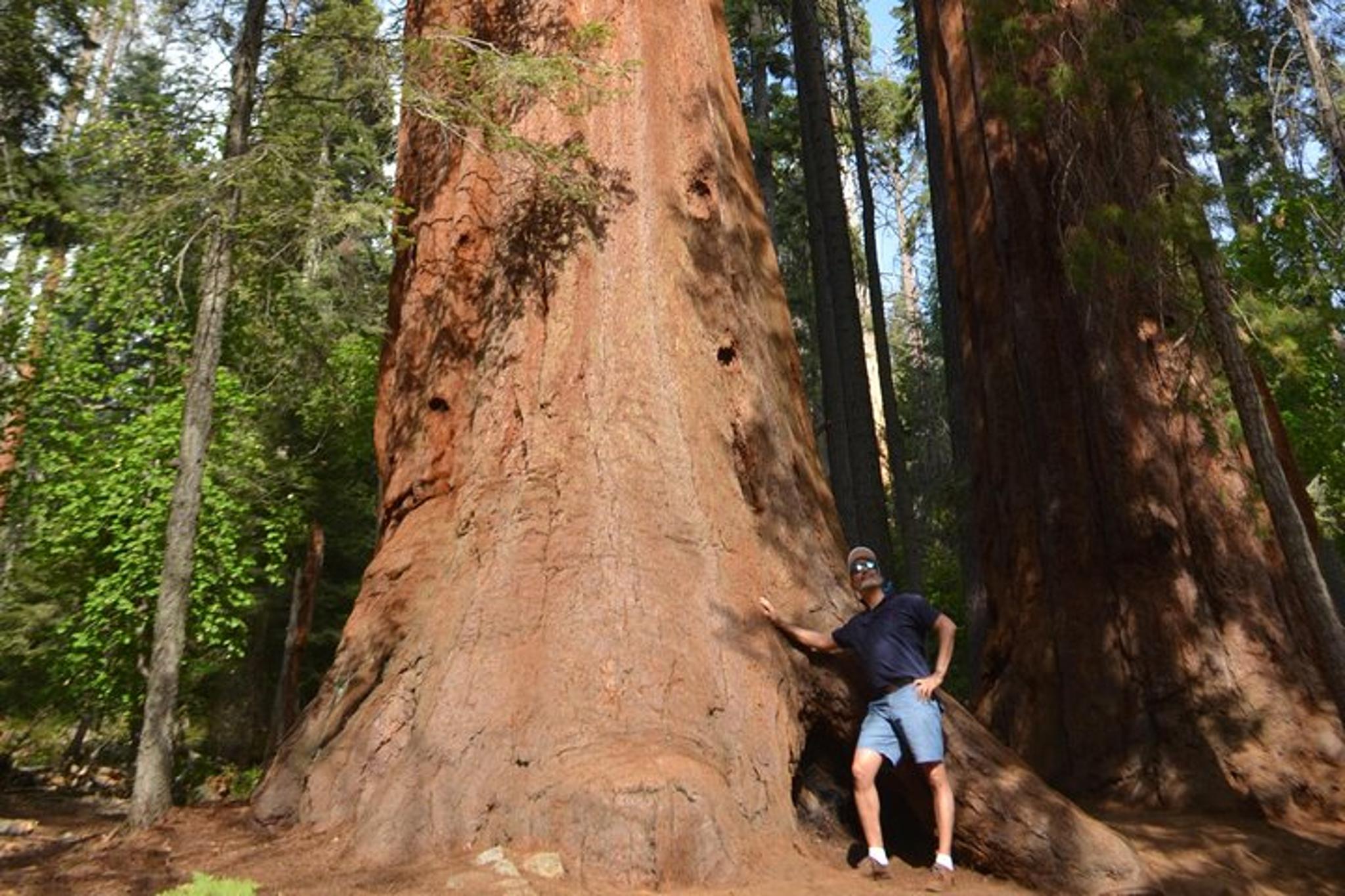 Los Angeles to Utah Parks 6-Day Tour - Image 5