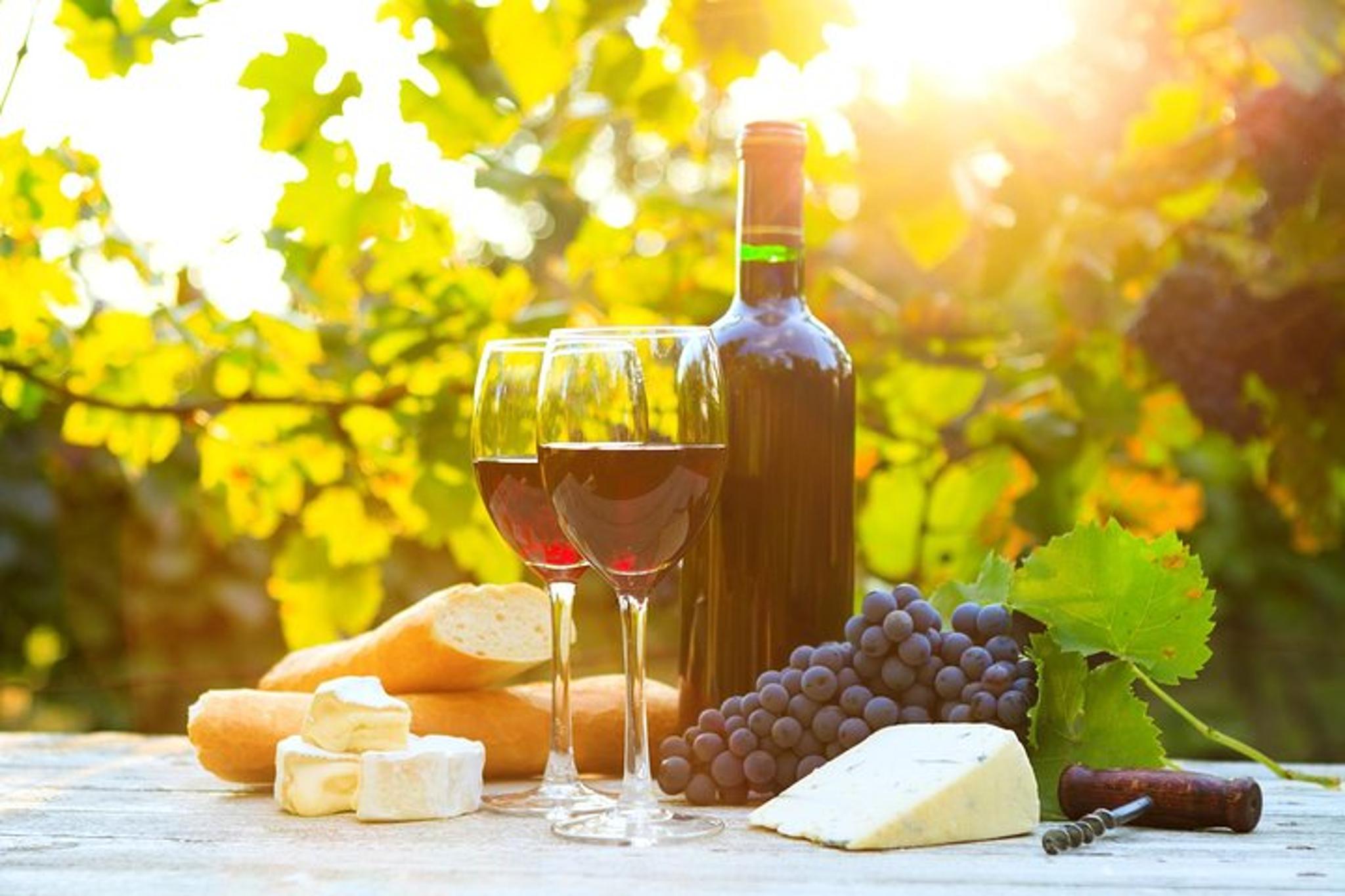 Long Island Winery Tour - Image 3