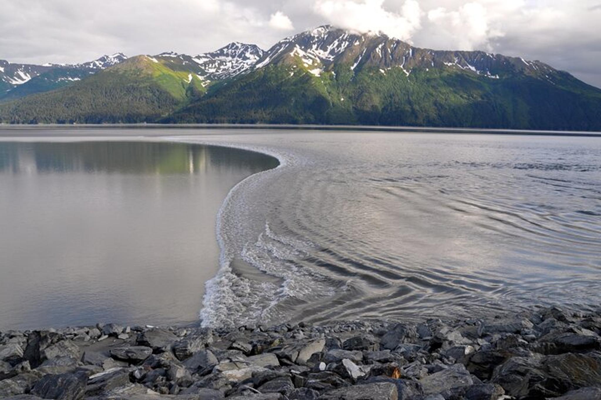 Anchorage to Whittier Transfer Tour - Image 5