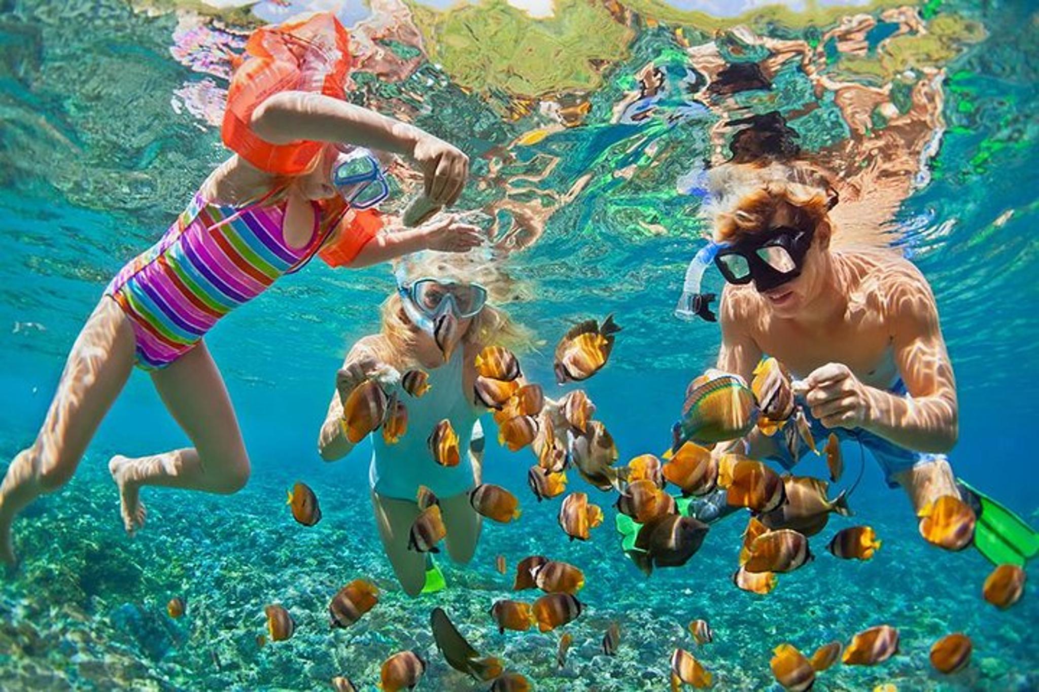 Oahu Circle Island Snorkel Tour