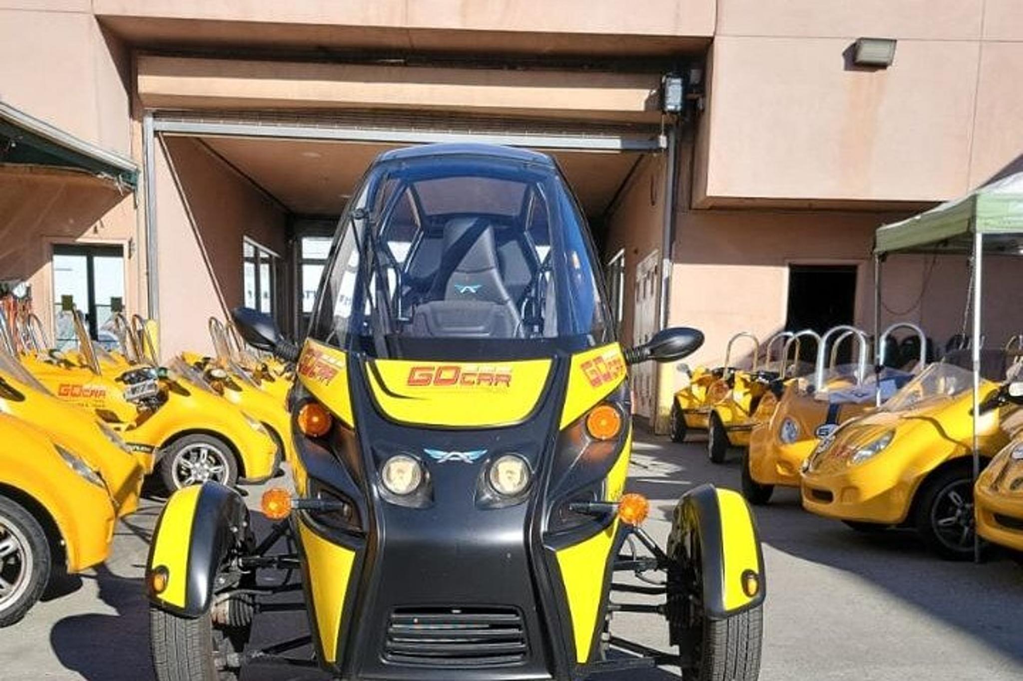 San Francisco Buggy Tour to Sausalito 3 hr - Image 6