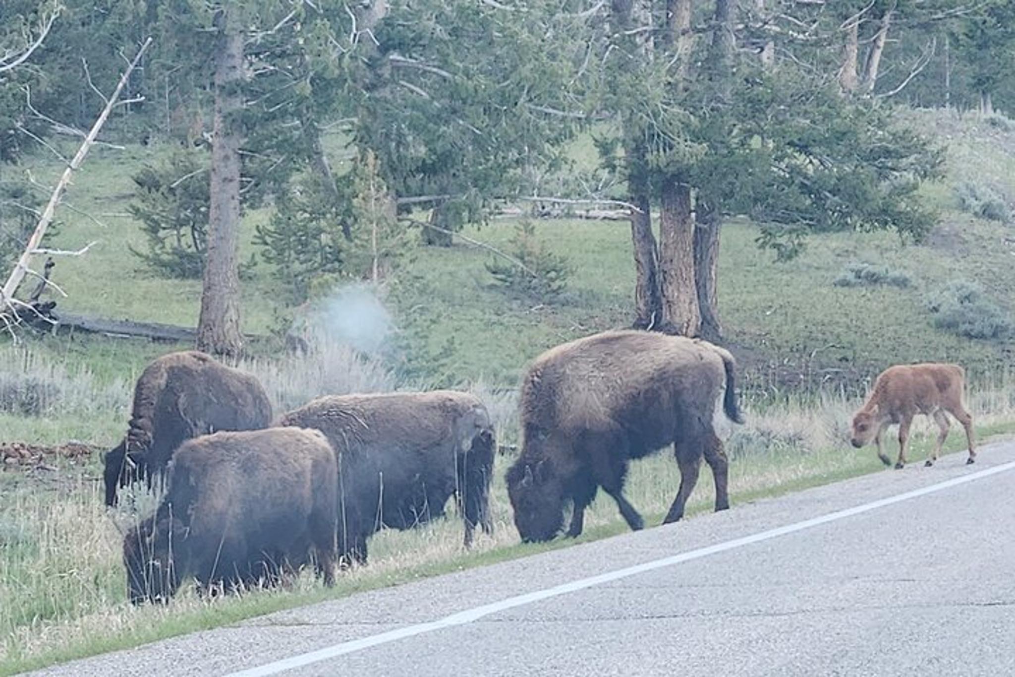 Utah Private Park Tour - Image 5