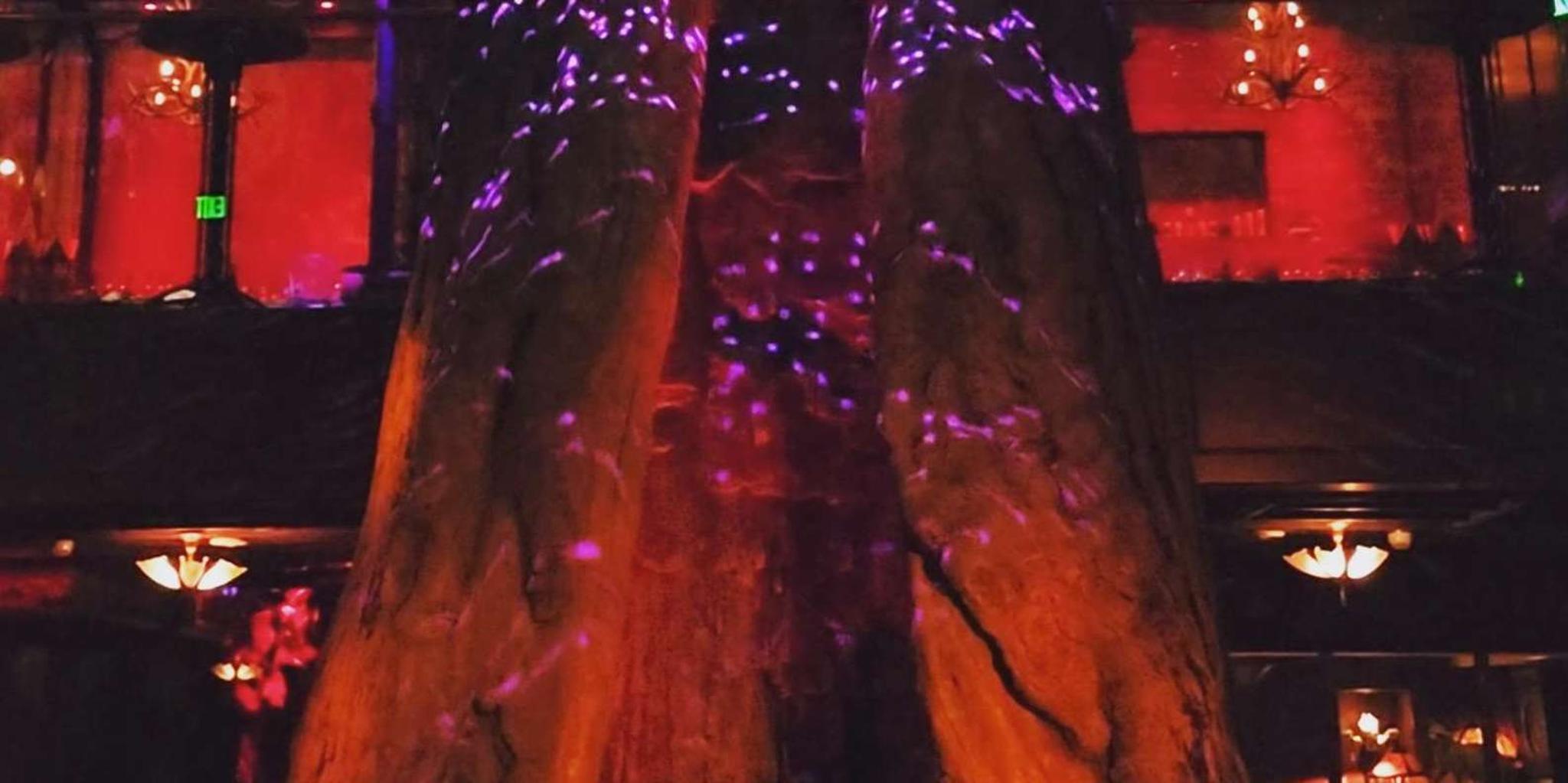 Los Angeles Murder Mystery Ghost Tour - Image 6