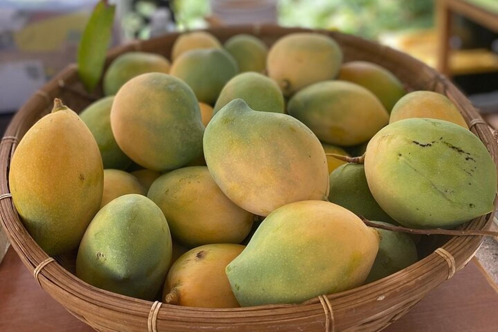Lahaina Orchard Tour with Fruit Tasting 45 min