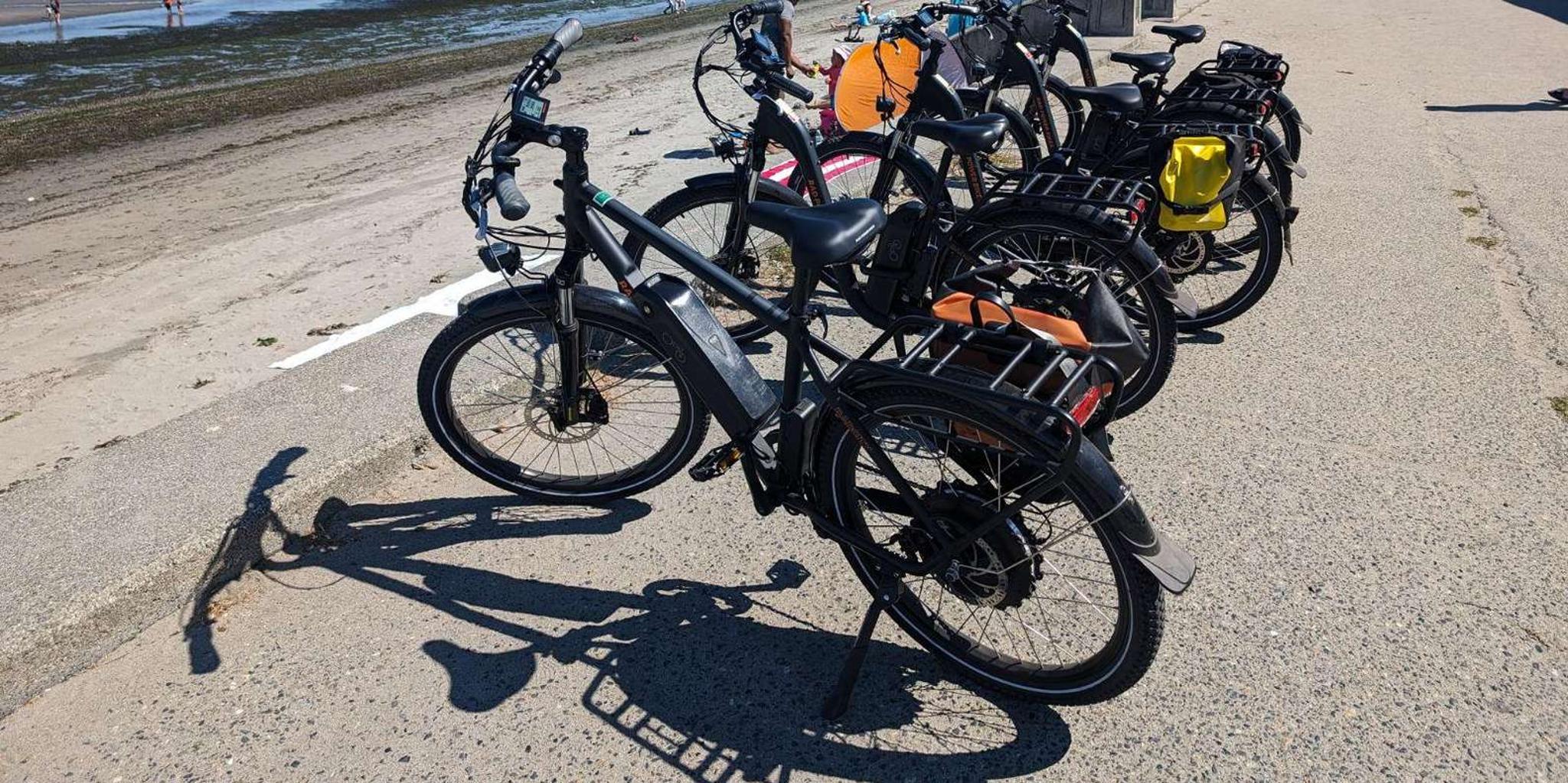Seattle Electric Bike Tour 2.5 hr - Image 4
