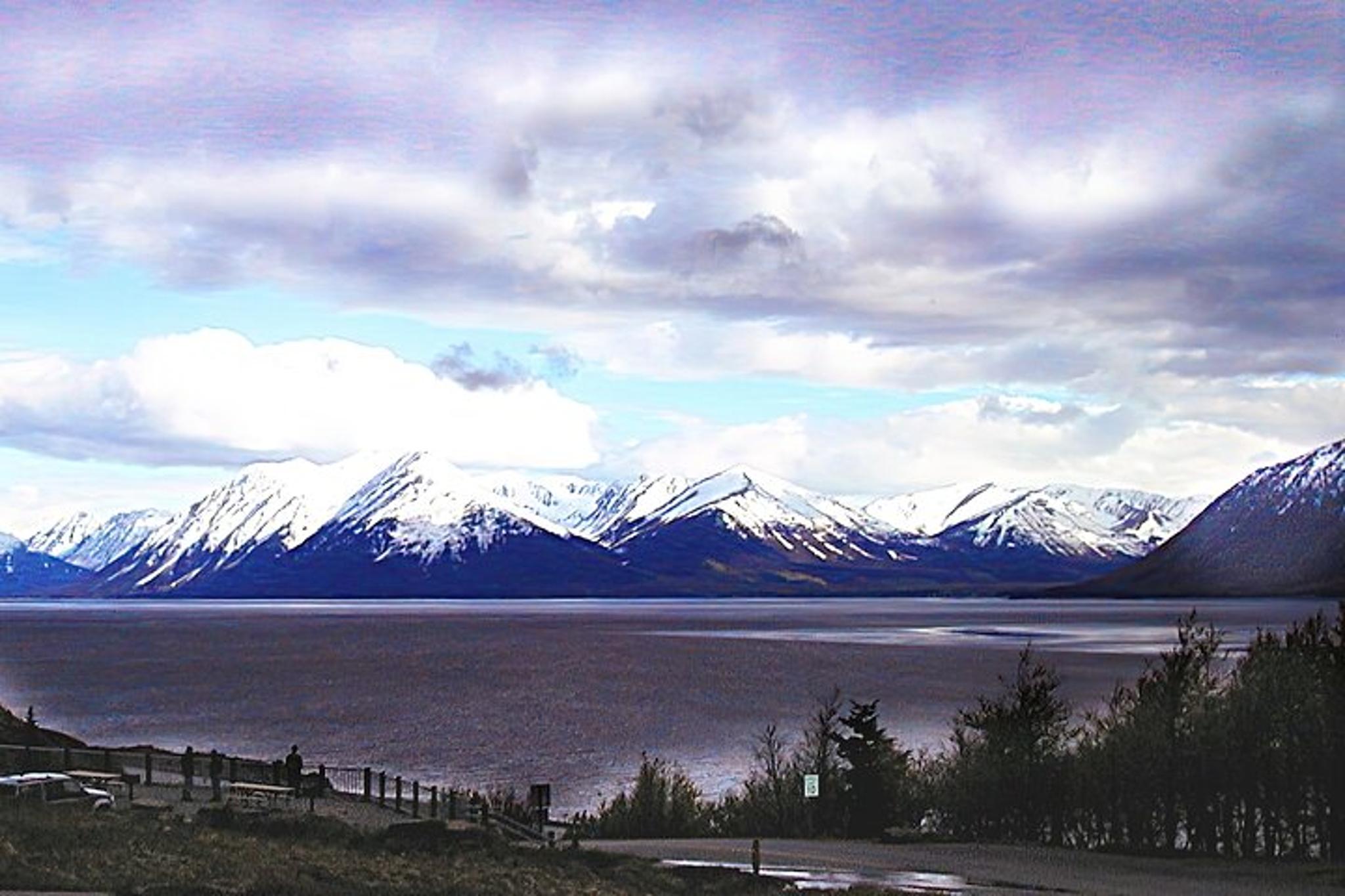 Anchorage Nature Tour with Wildlife Center Visit - Image 5