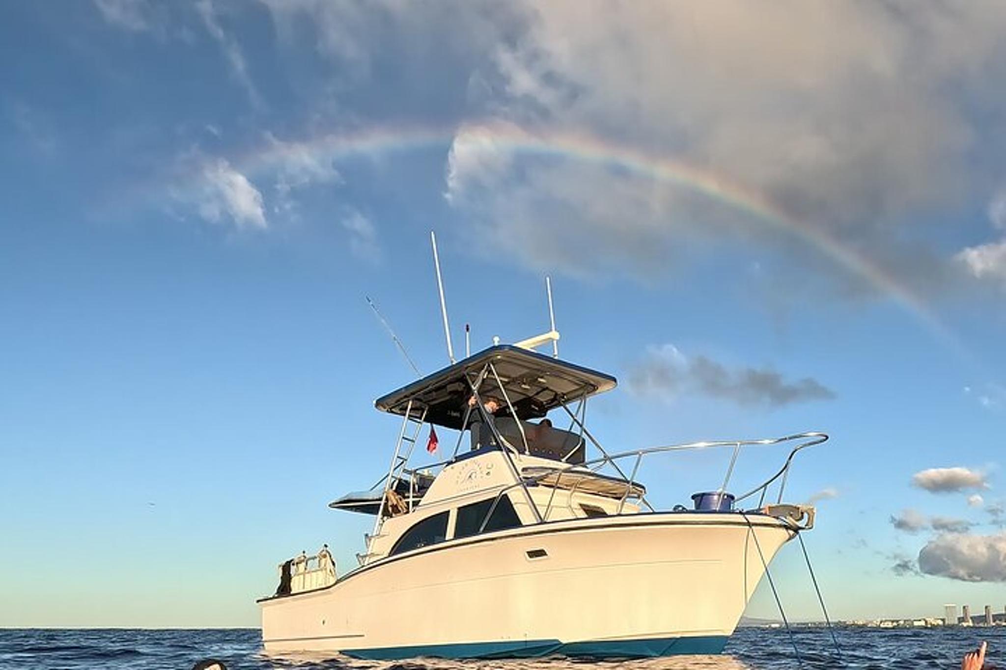 Waikiki Turtle Snorkel Tour - Image 4