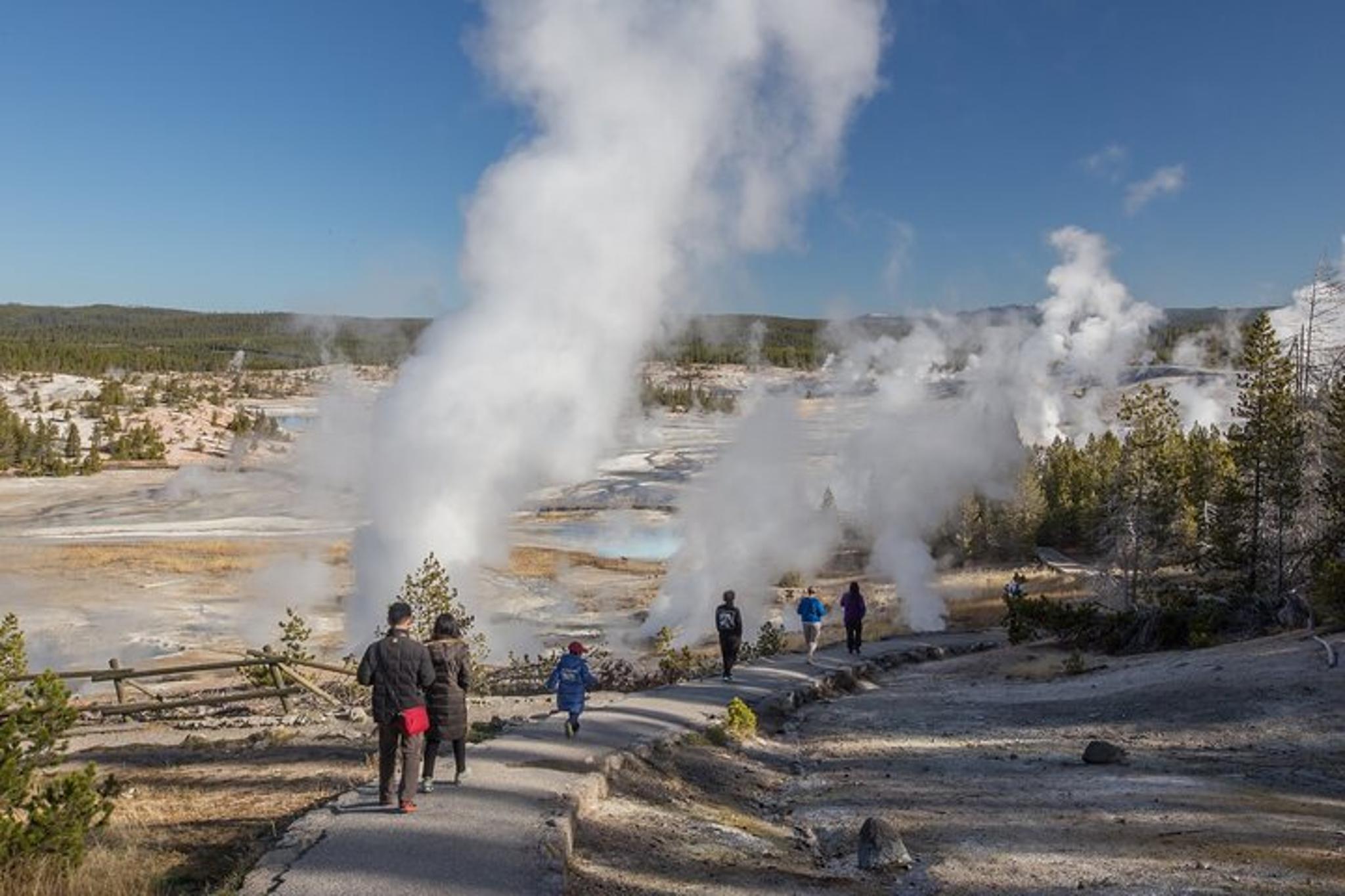 Yellowstone Wildlife and Hot Springs Tour - Image 1