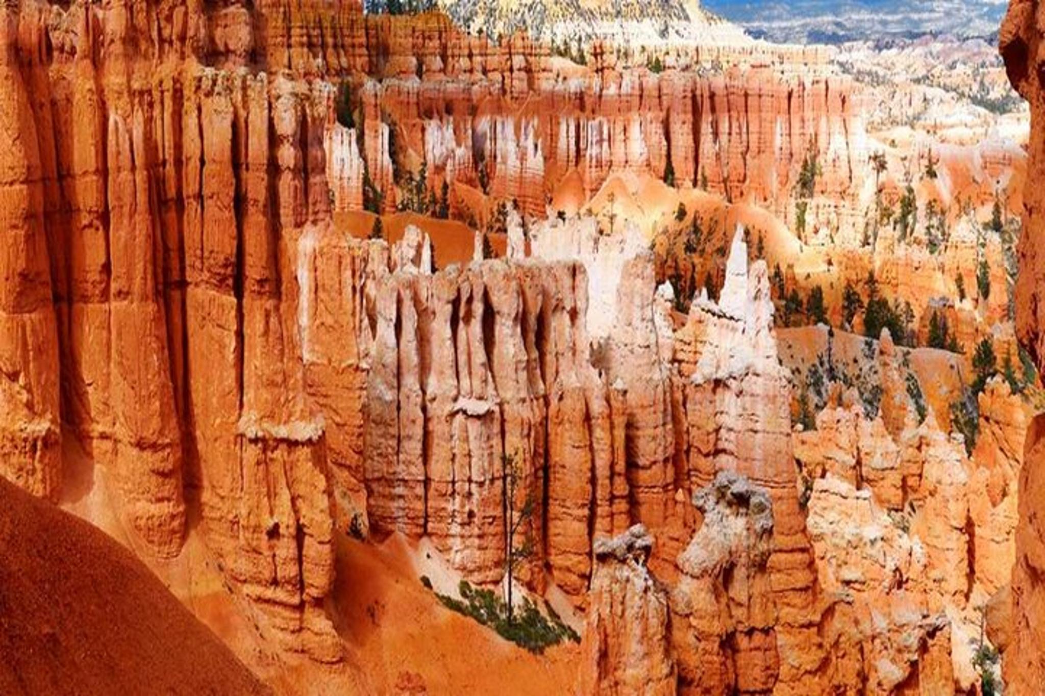 Las Vegas 5-Day National Park Tour - Image 4