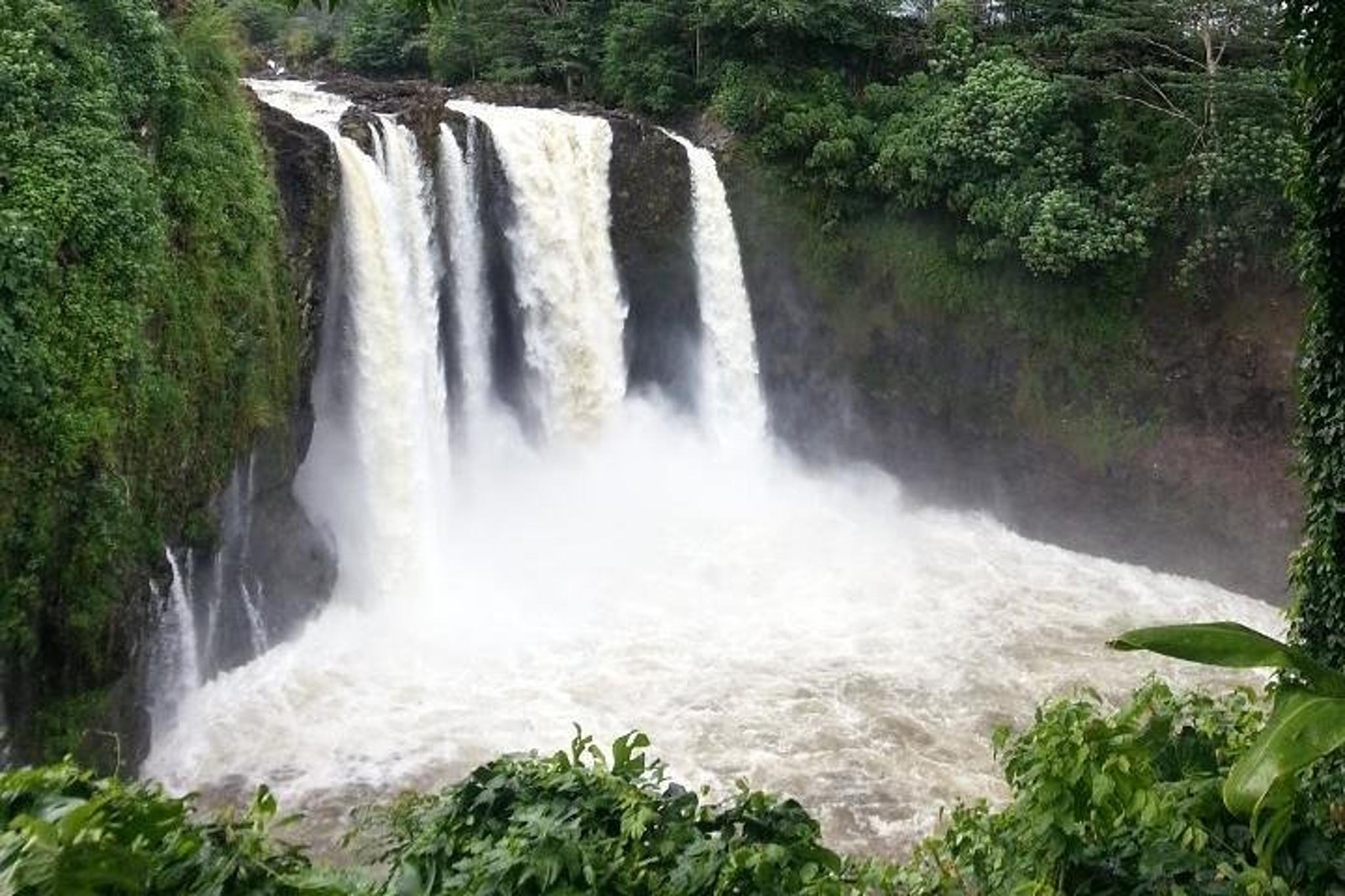 Hilo Waterfall & Local Secrets Tour 6 hr - Image 1