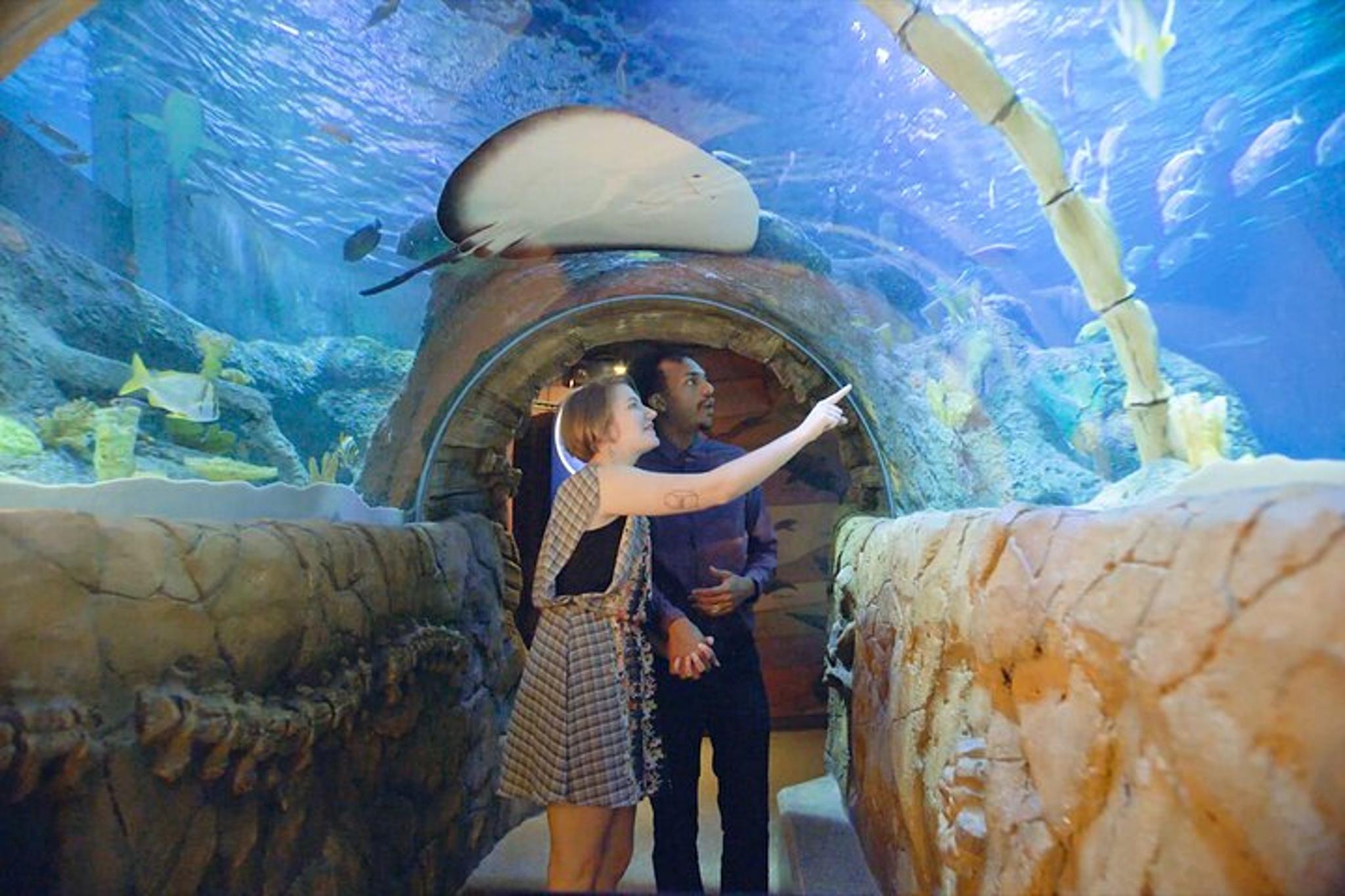 Auburn Hills Aquarium Admission - Image 2